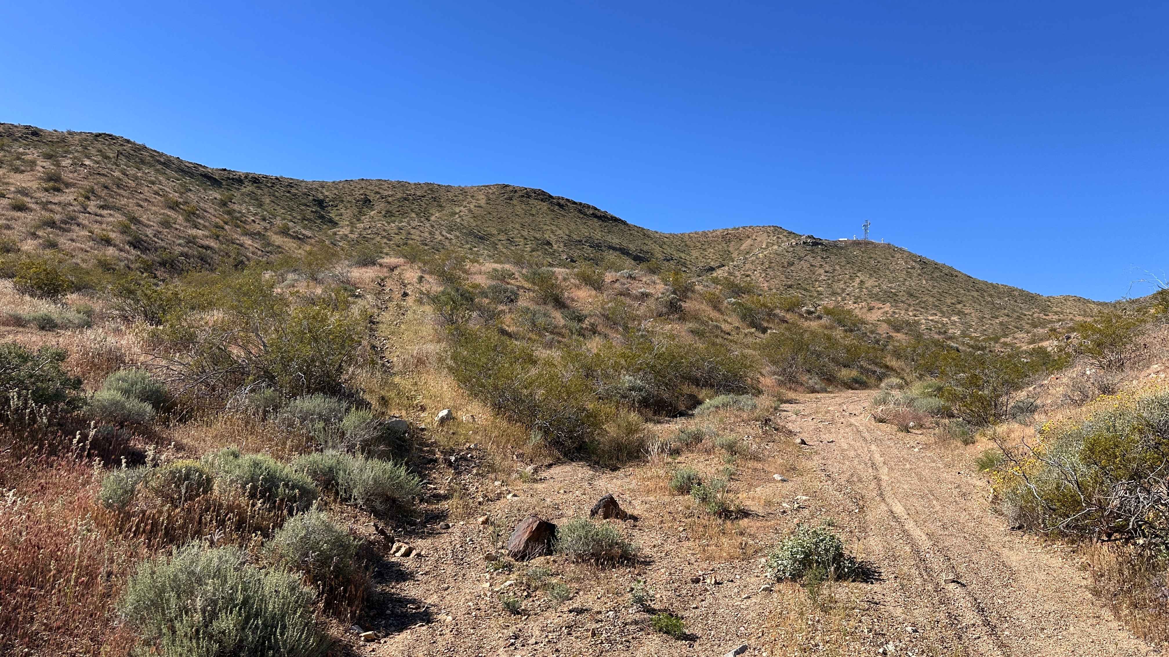 Rimrock Trail