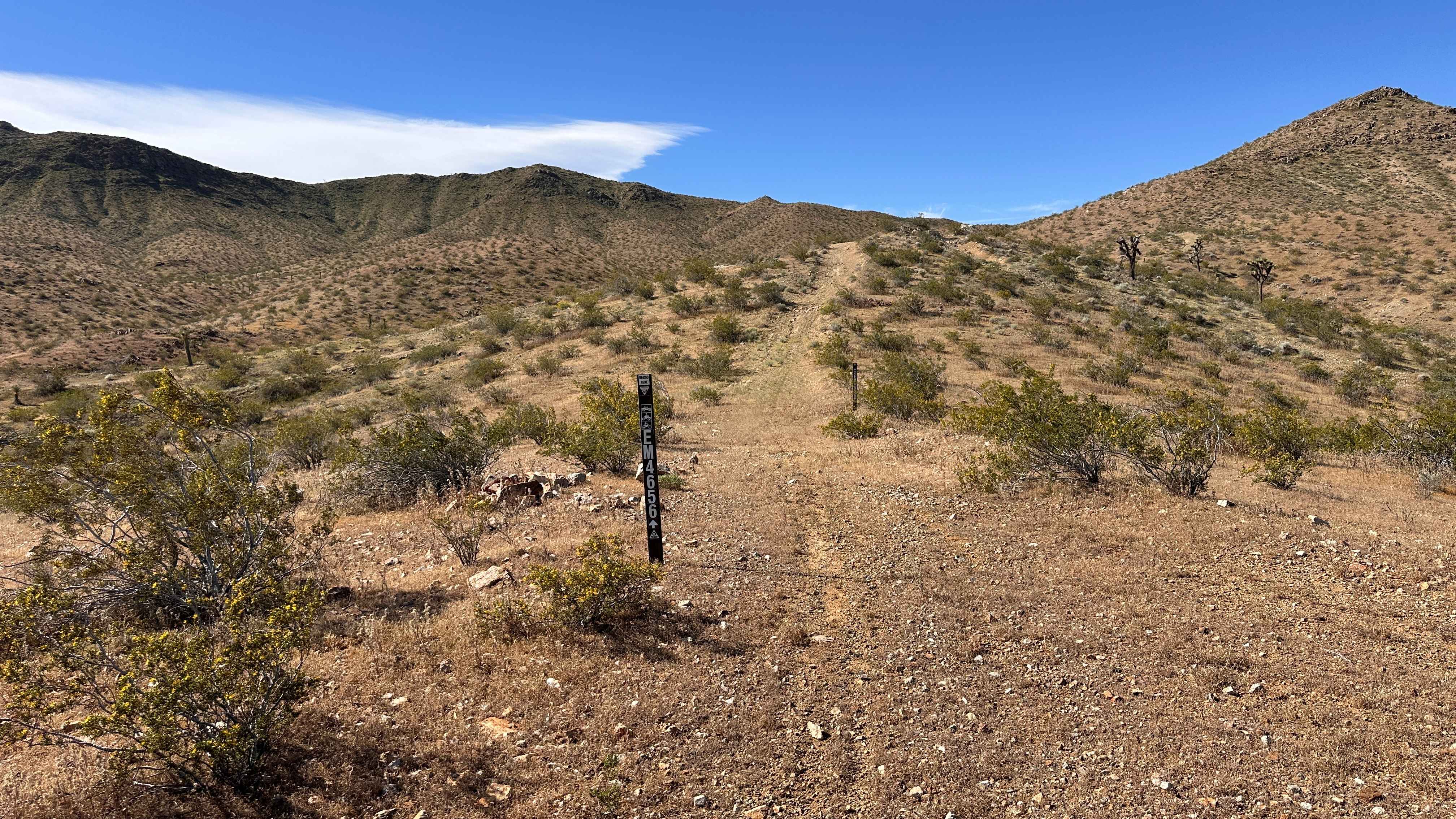 Lost Prospector