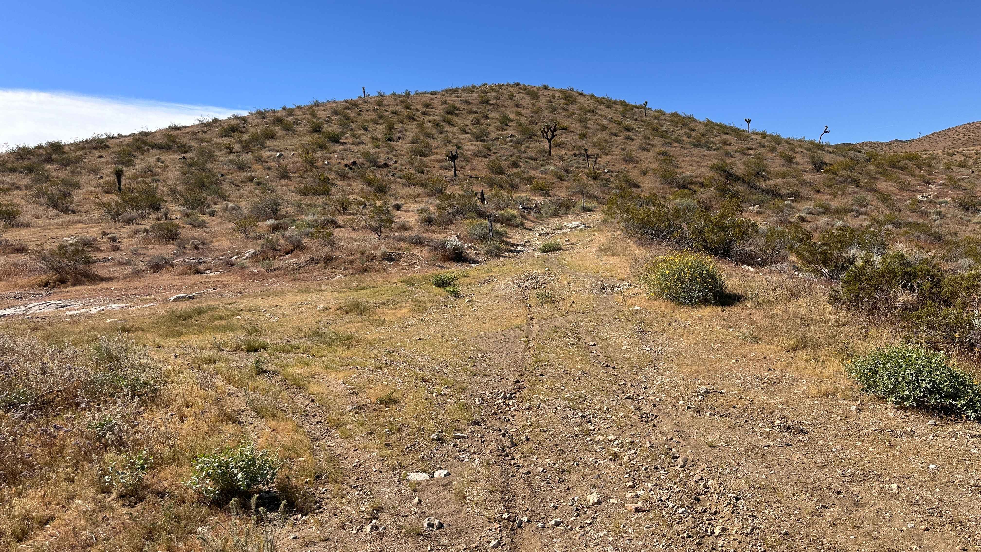 Rattlesnake Loop