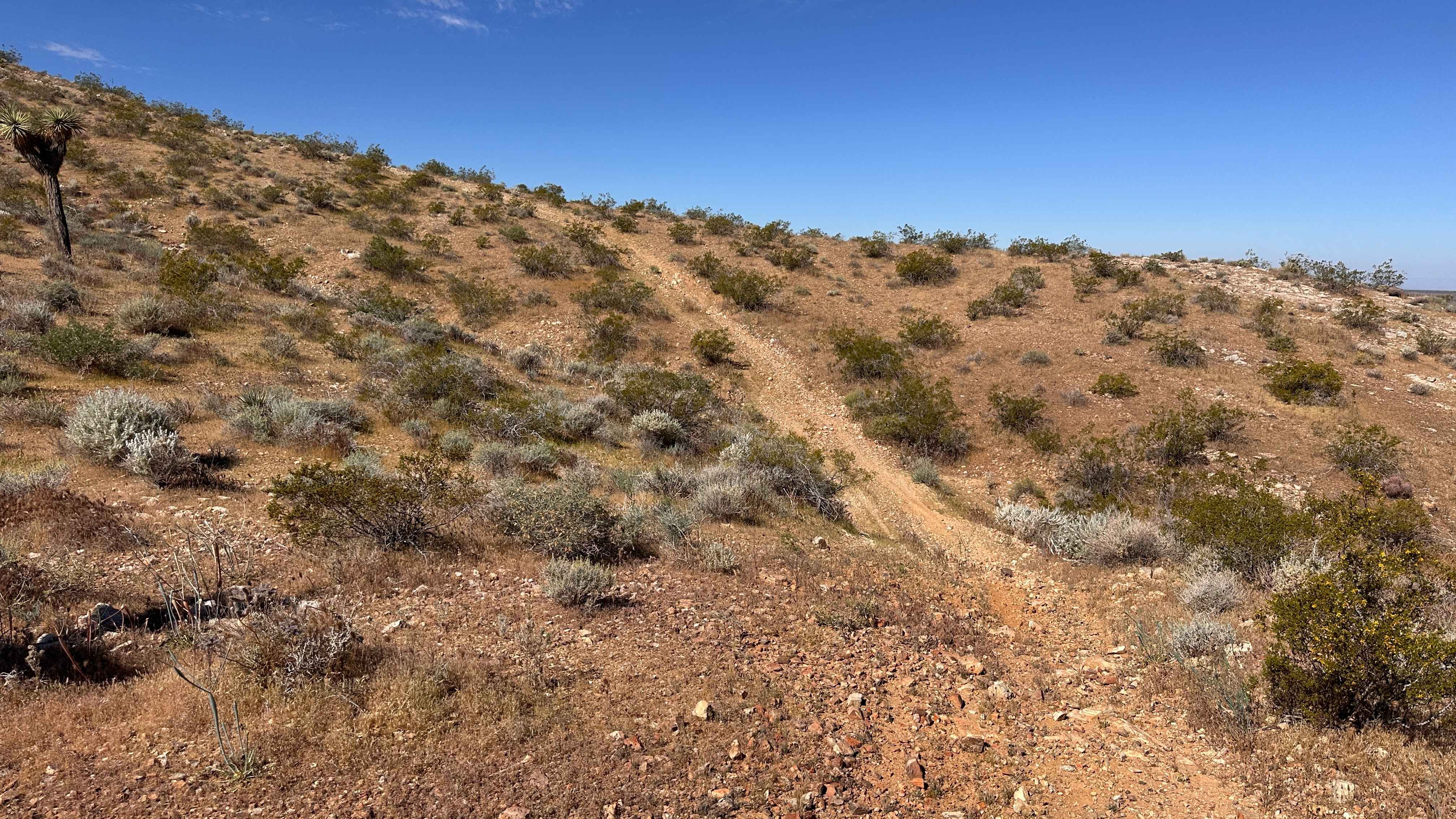 Desert Divide