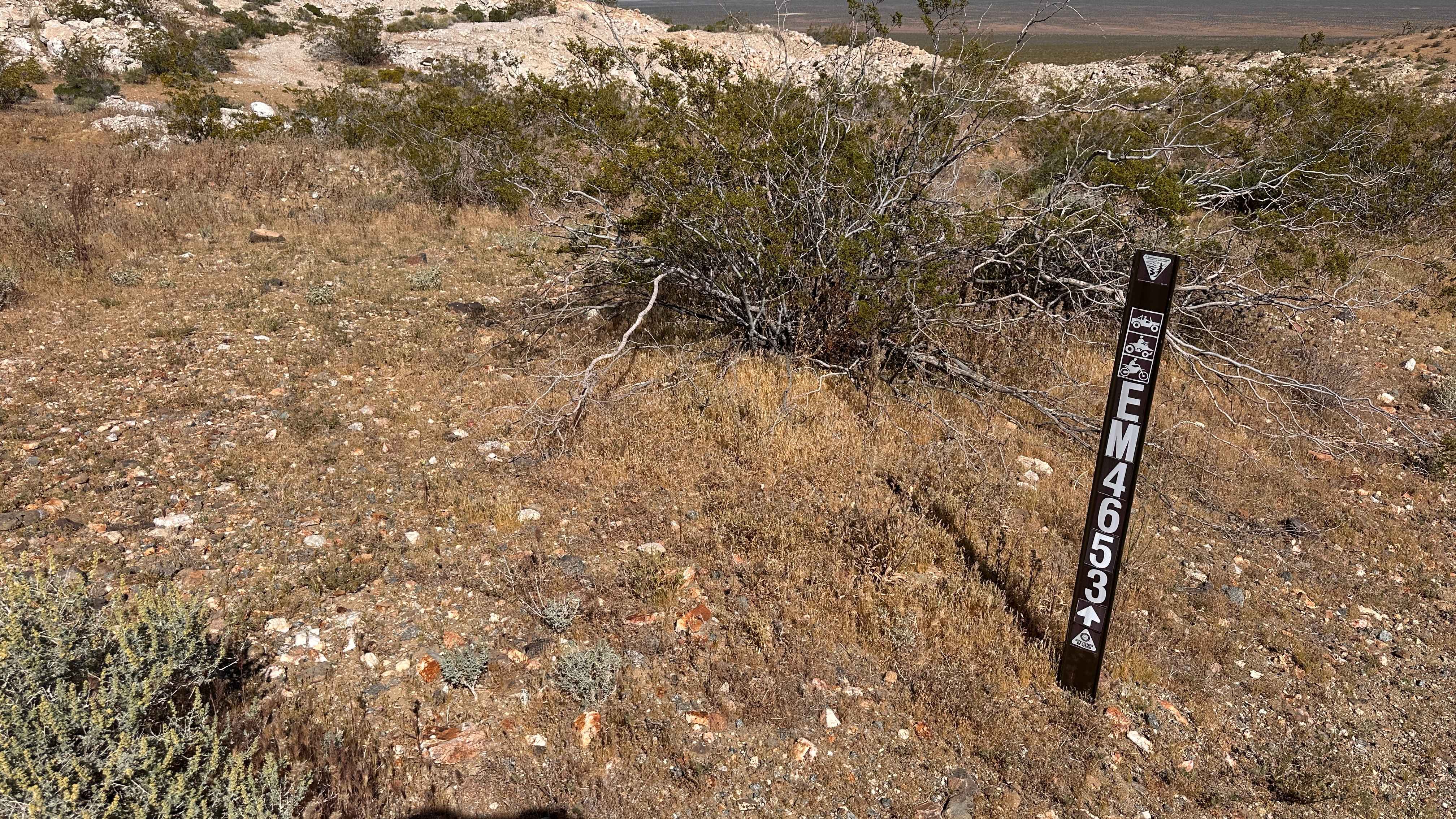 Windmill Trail
