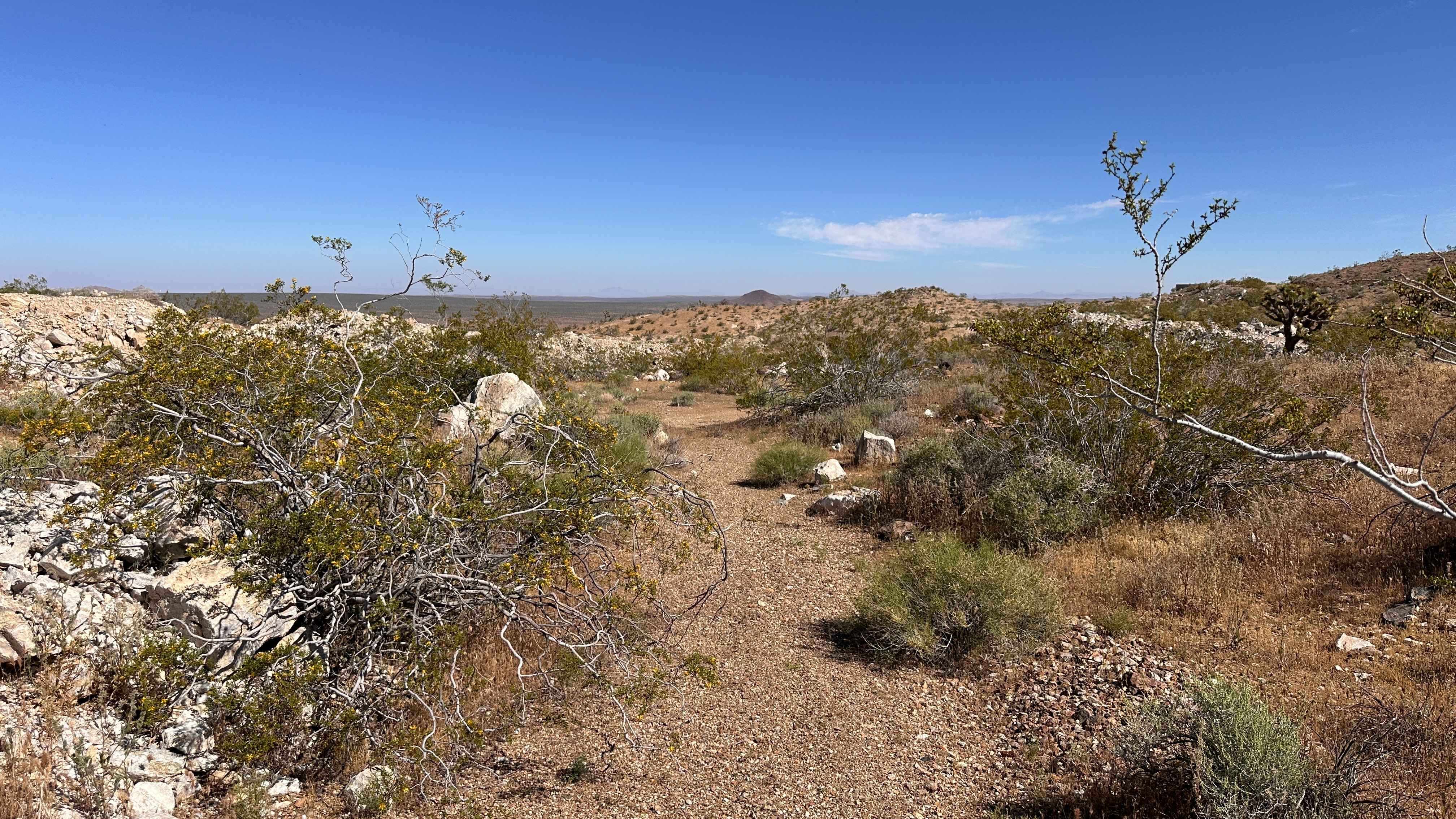 Mule Canyon
