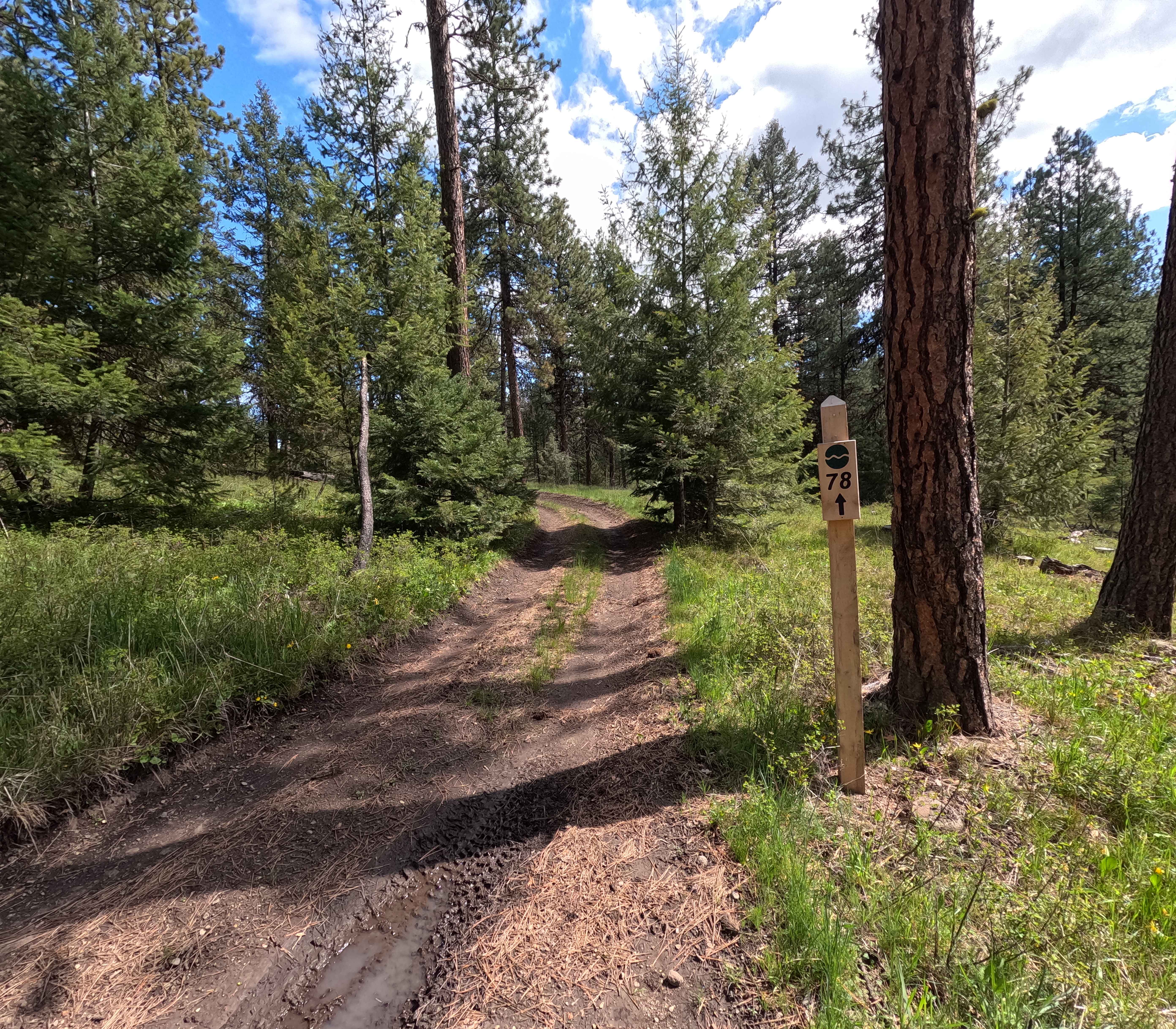 Trail 78