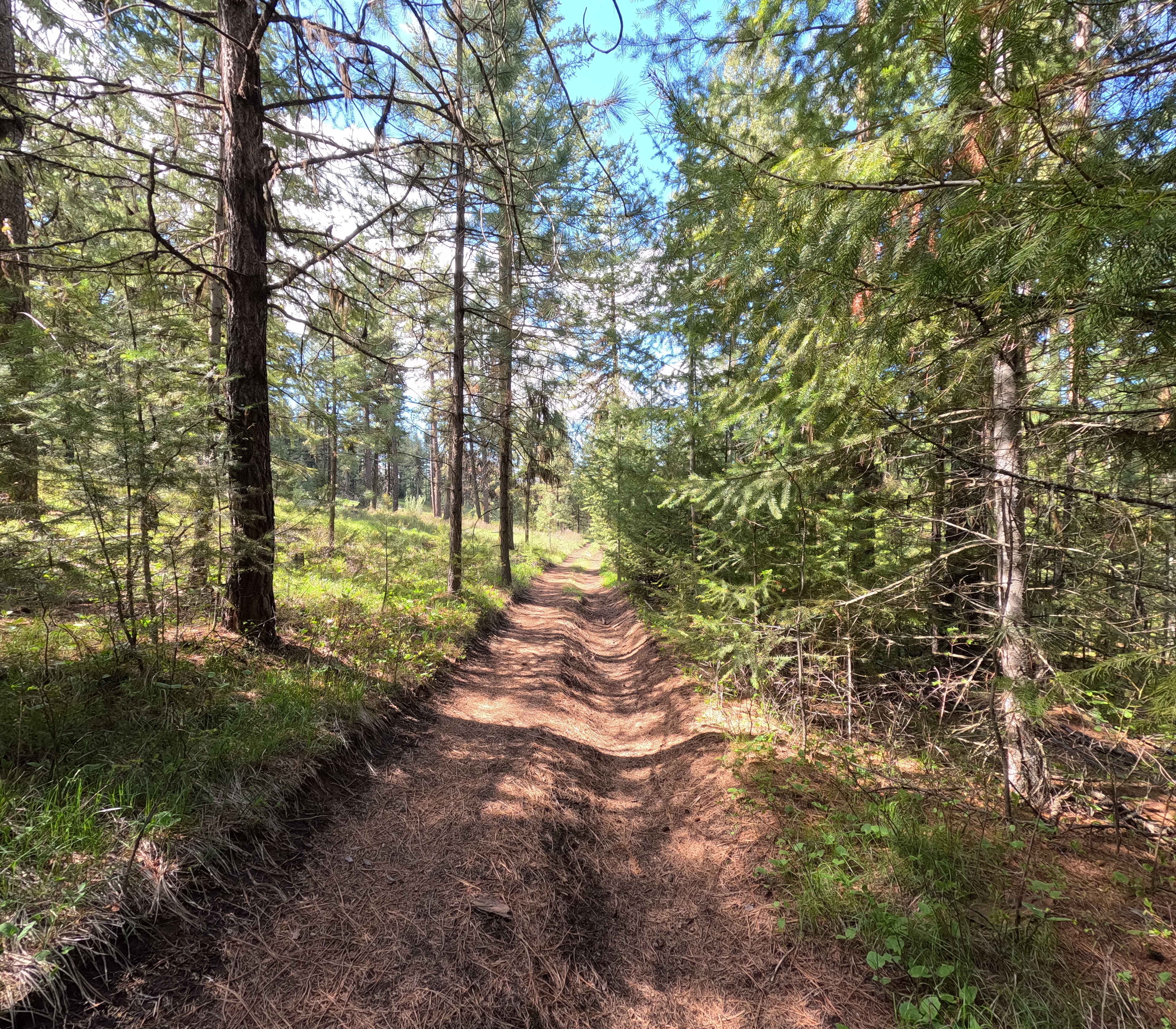 Trail 78