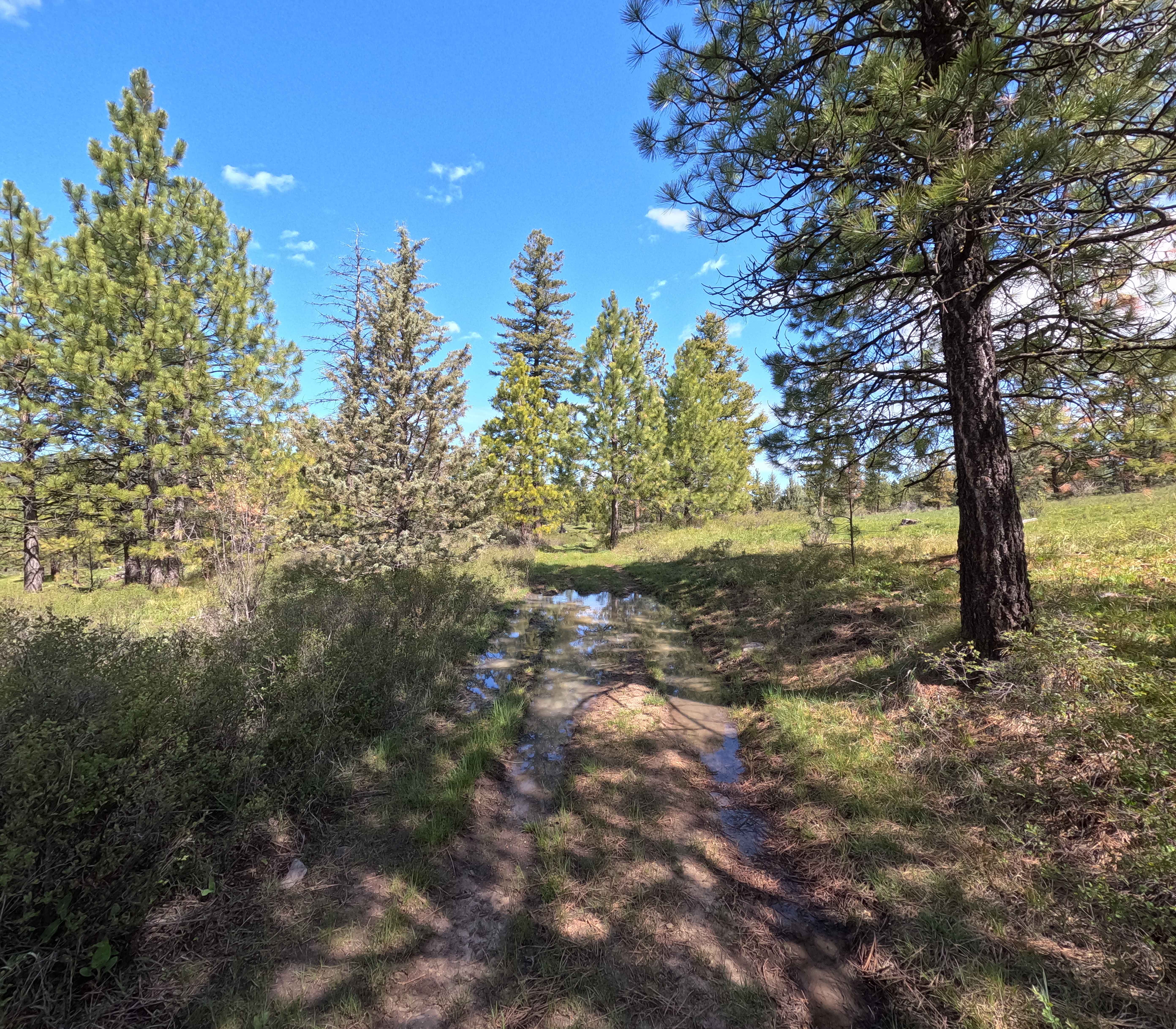 Trail 70