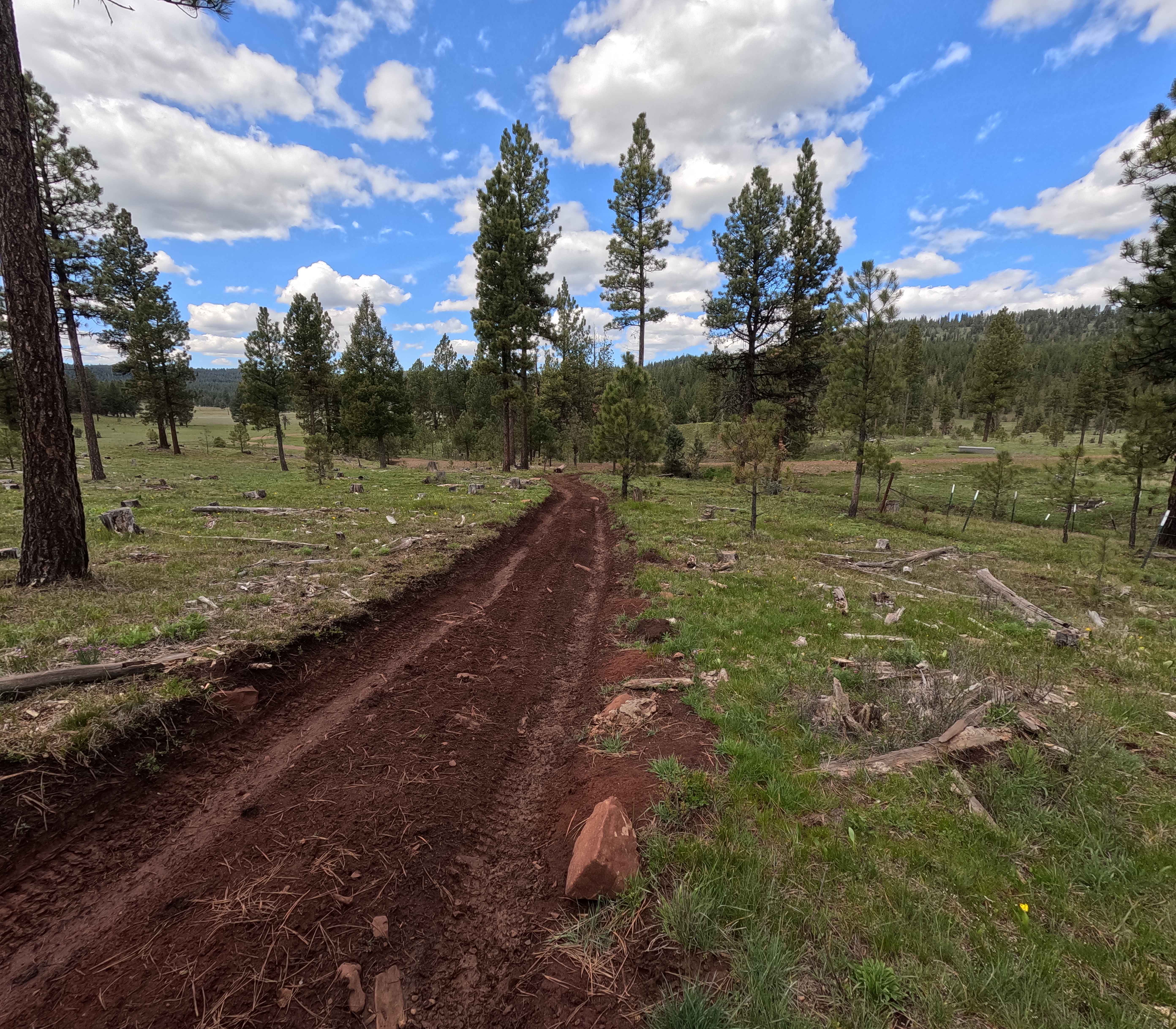 Trail G3 Hillclimb
