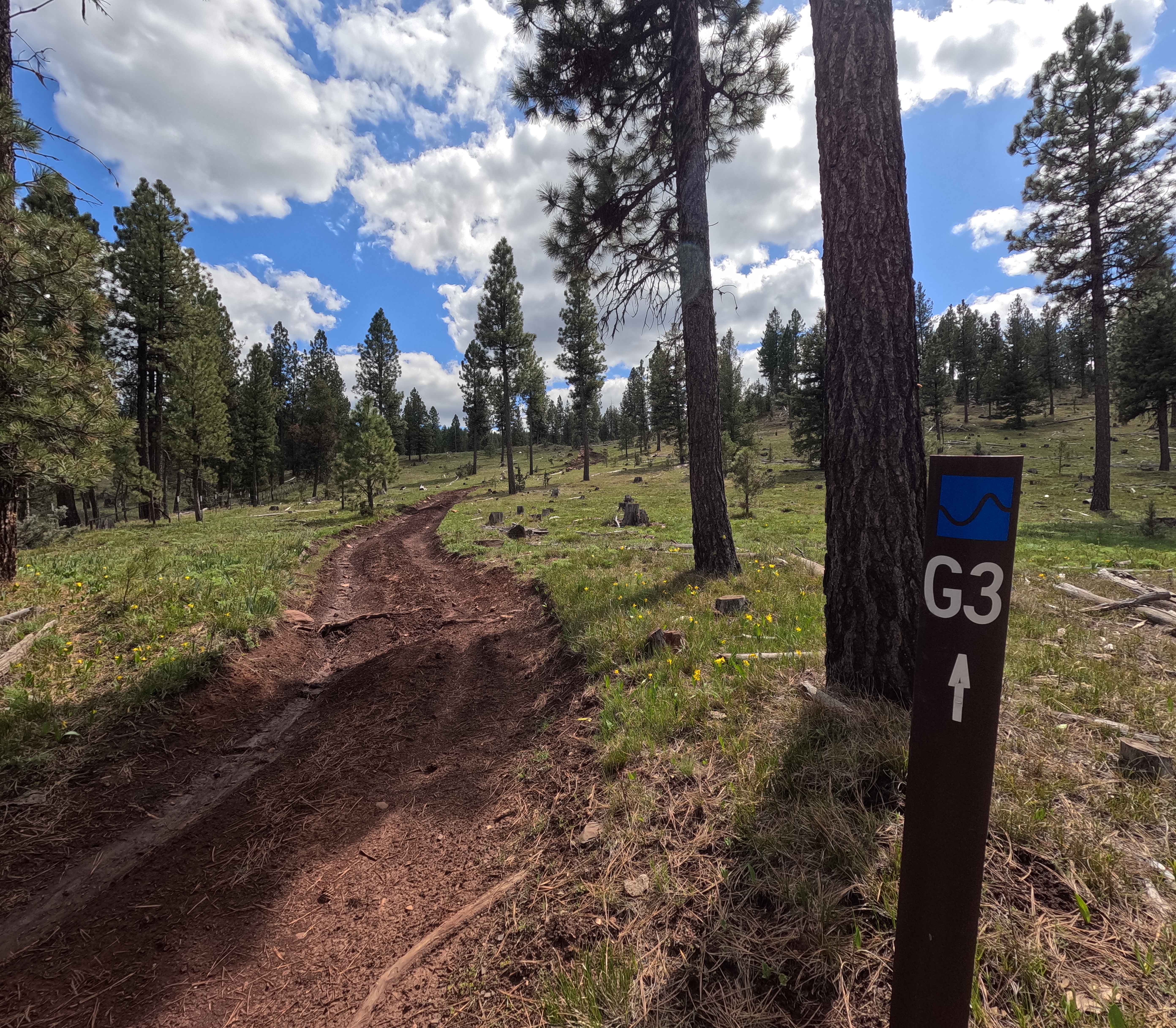 Trail G3 Hillclimb