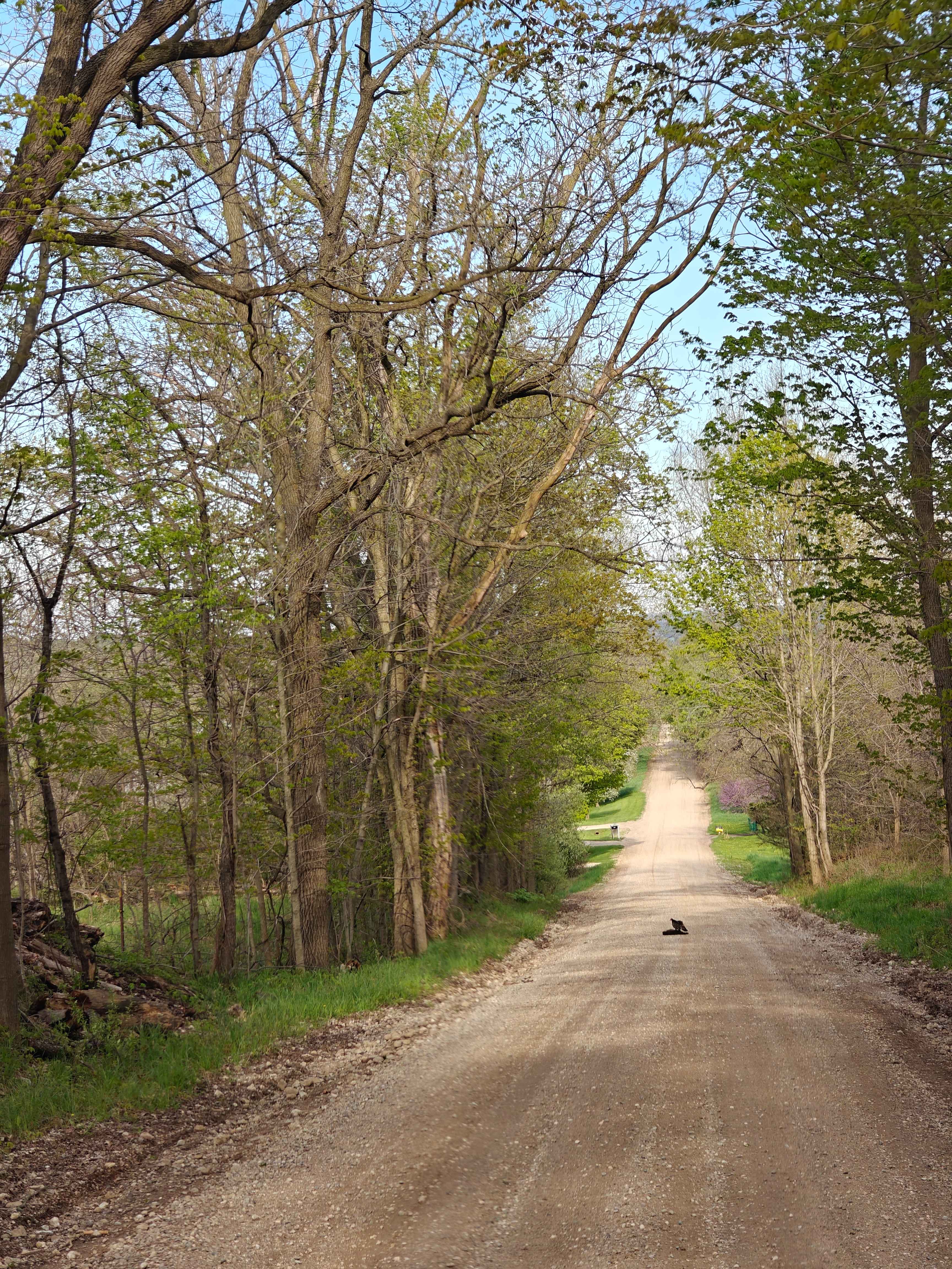 Scenic Hopkins Gravel