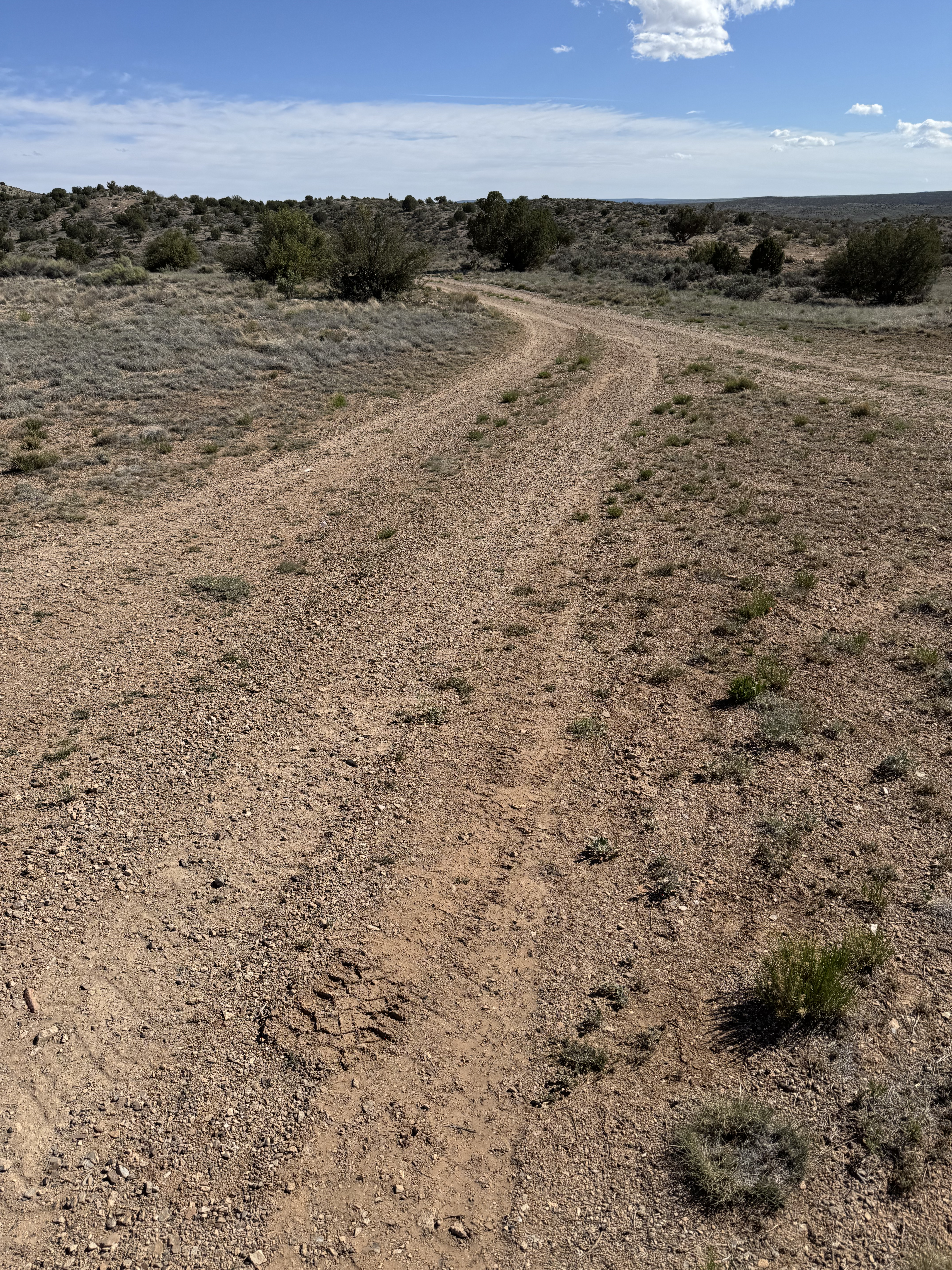 Little Creek Lookout Loop