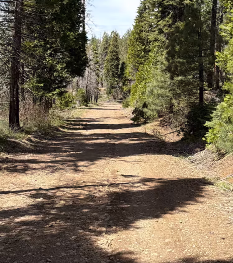 Carpenter Creek - FS 11N47