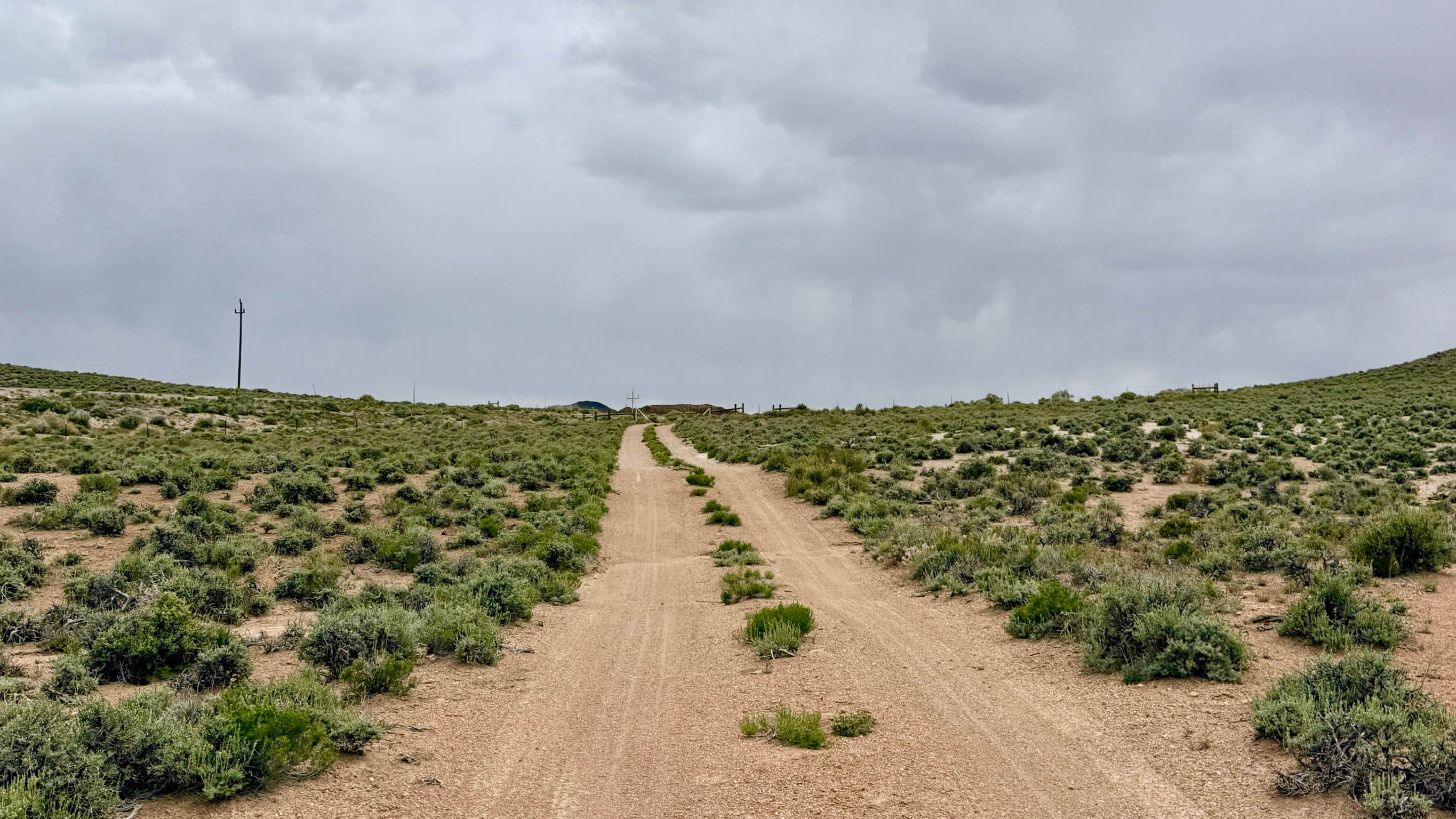 Parrotte Springs / Hannapah Road - FS 44505