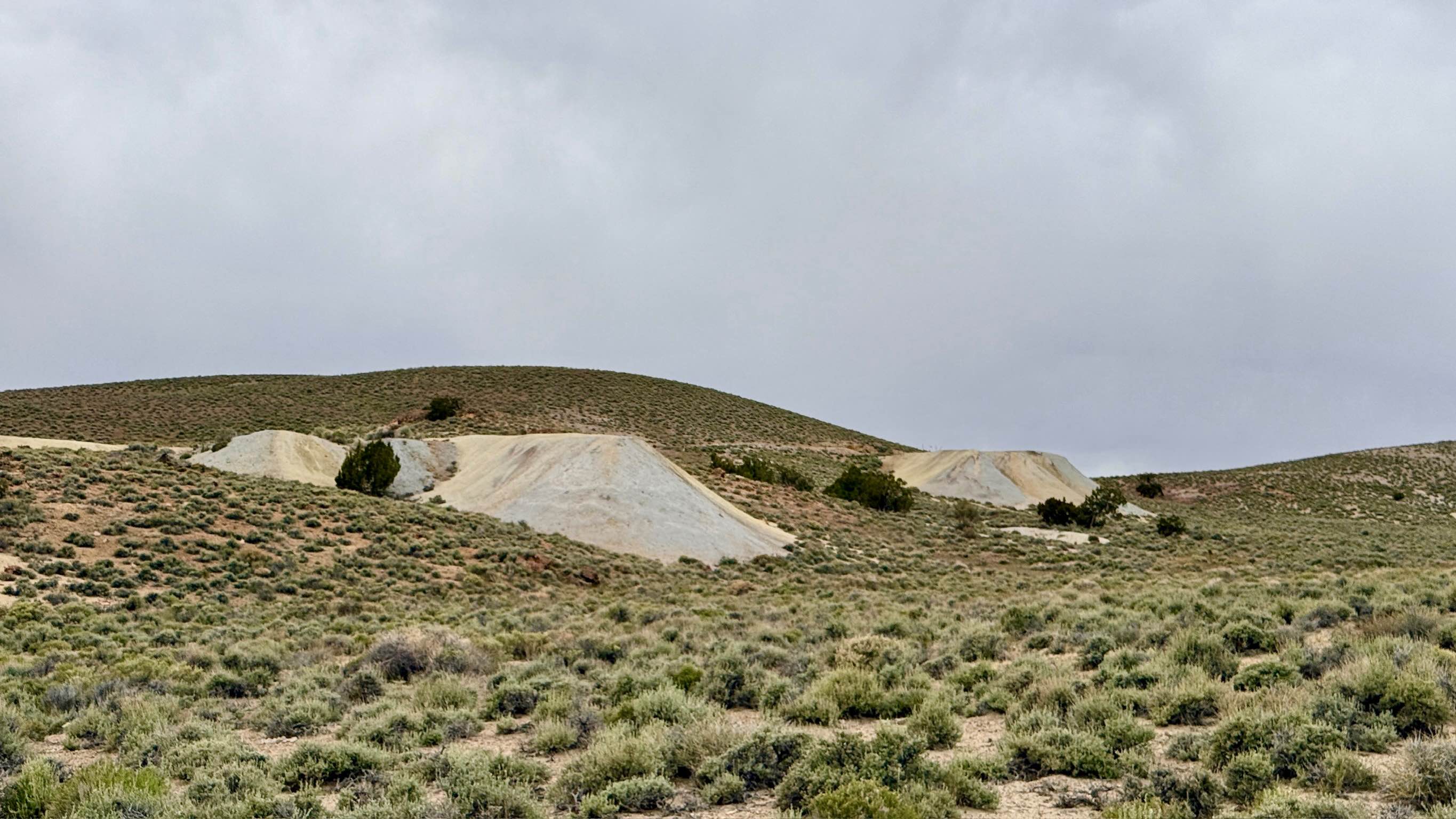 Parrotte Springs / Hannapah Road - FS 44505