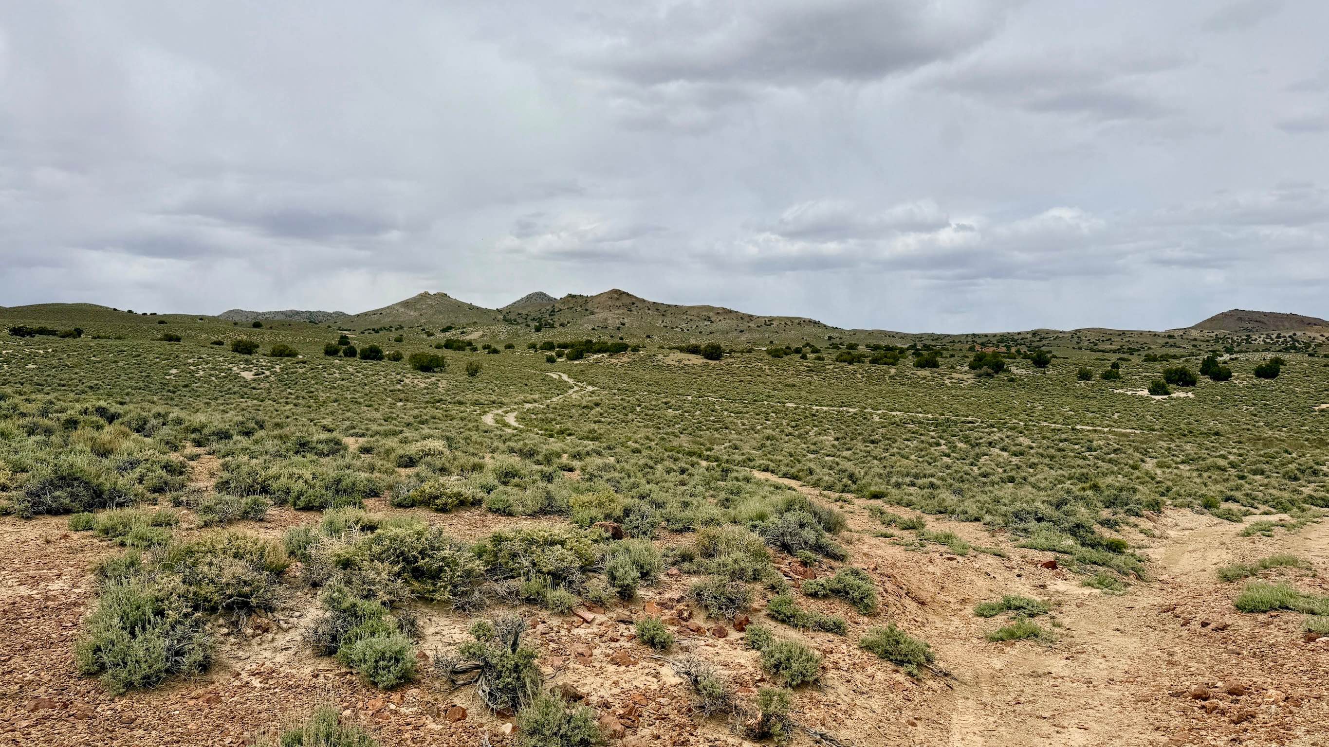 Parrotte Springs Trail - FS 44505