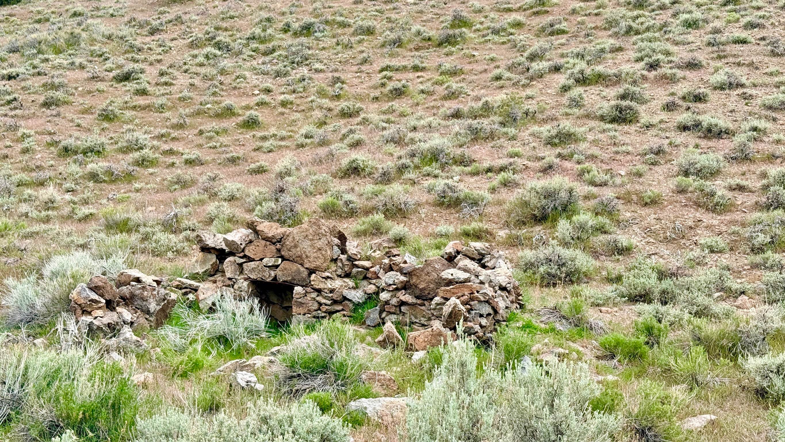 Parrotte Springs Trail - FS 44505