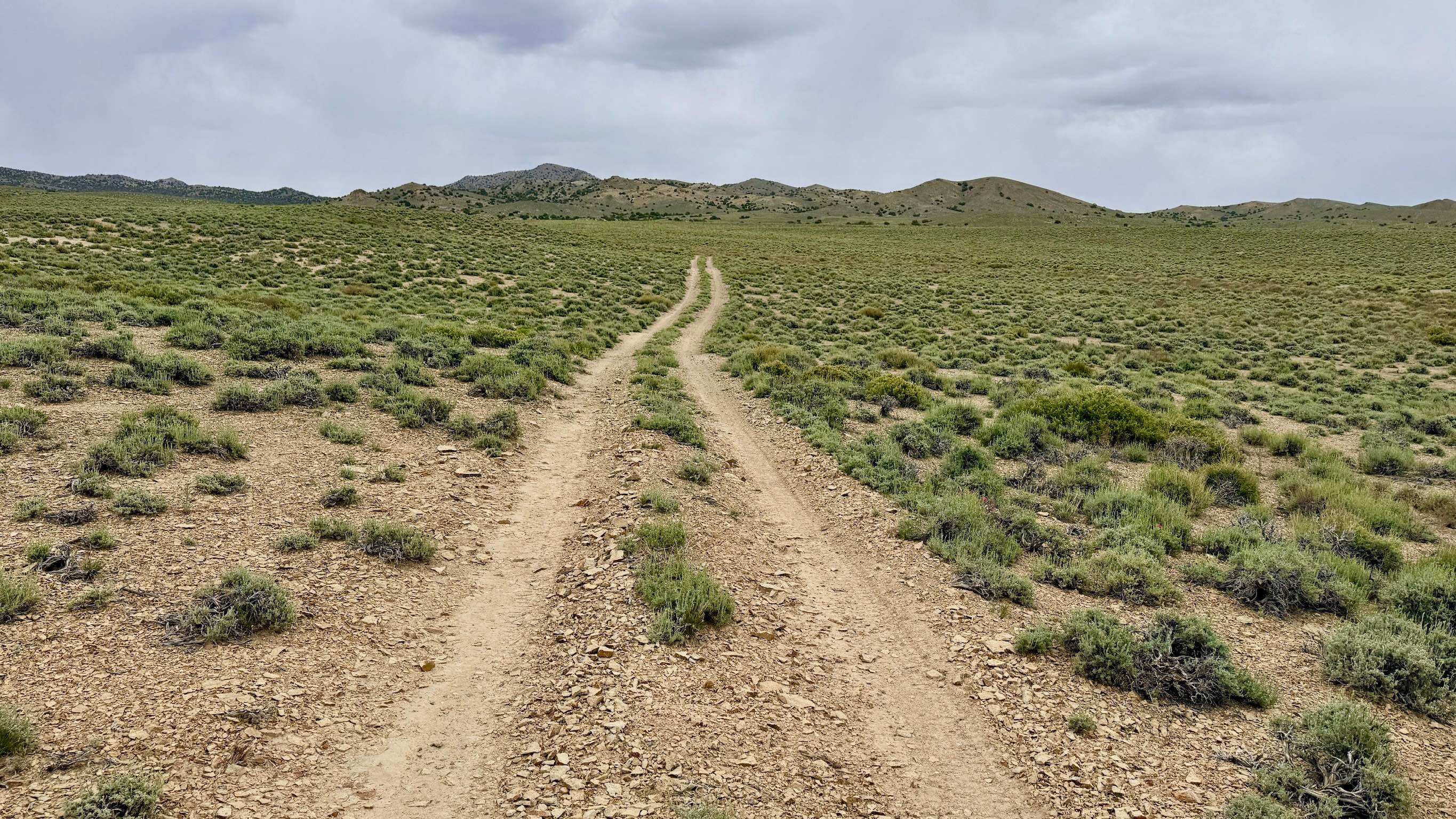 Cedar Corral - FS 44491
