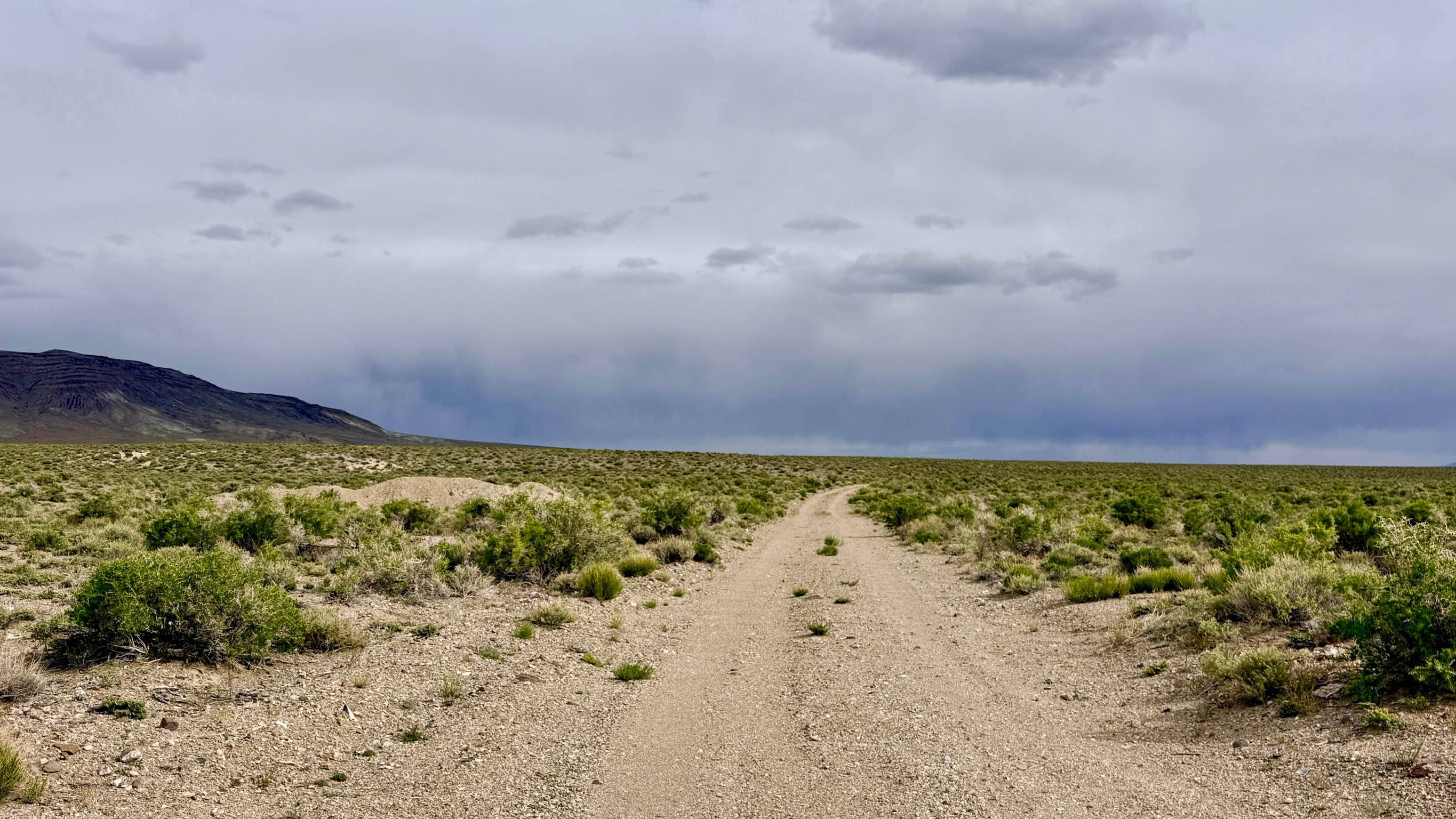 Rye Patch Desert Road
