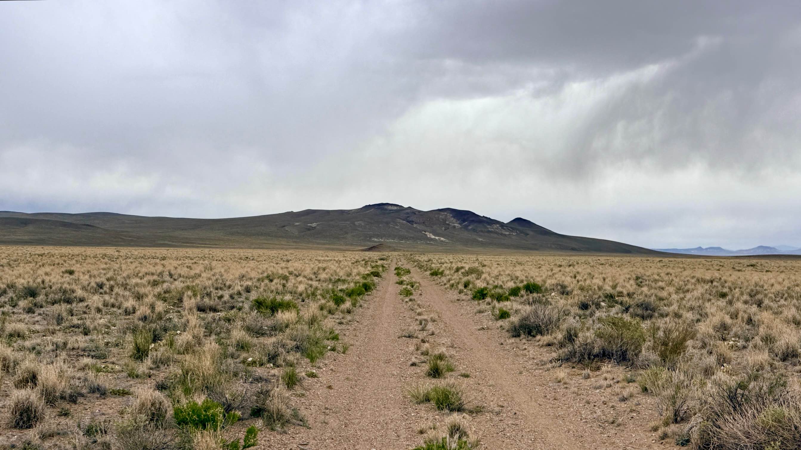 Saulsbury Cutover