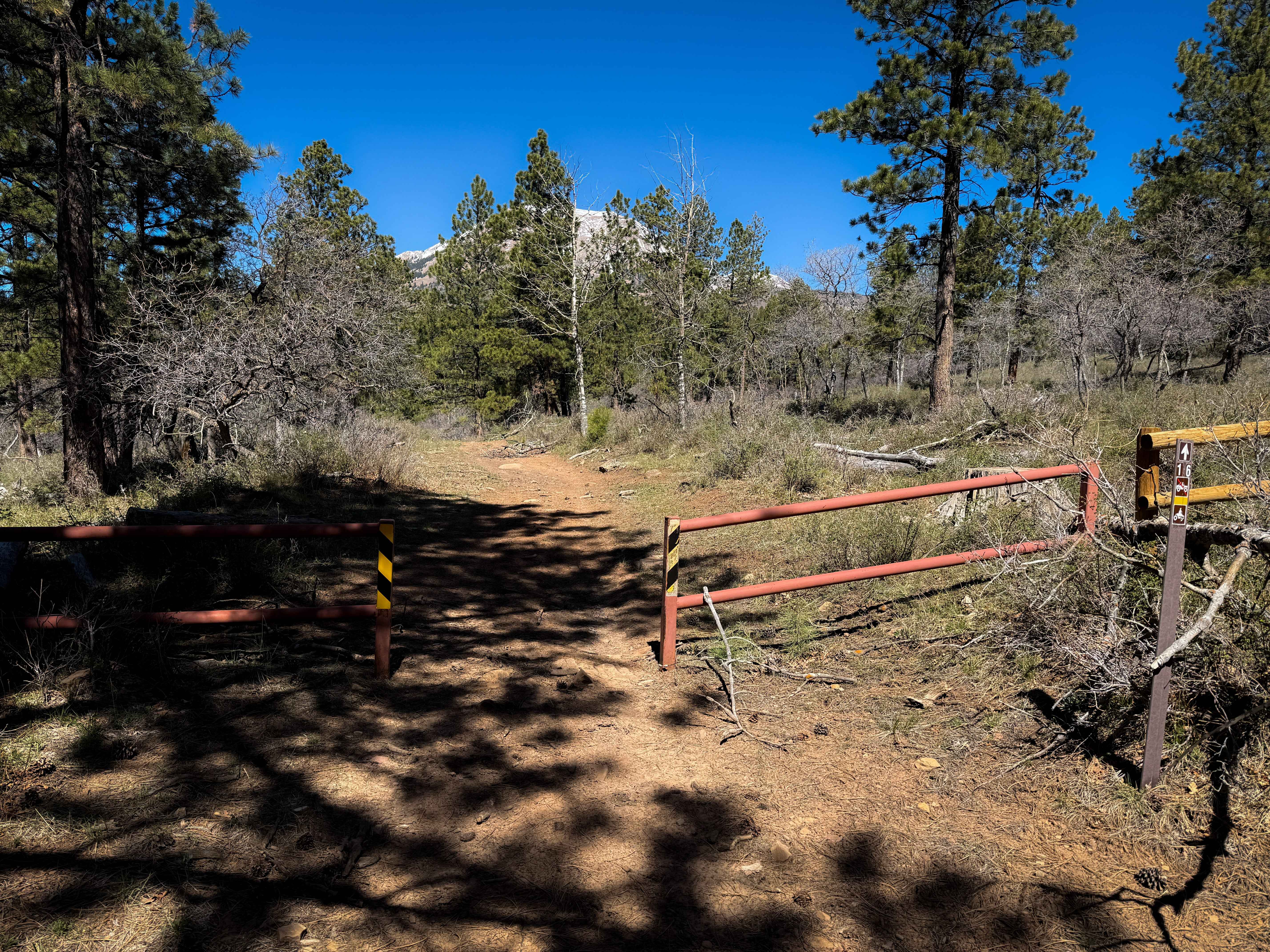 Upper 2 Mile ATV Trail