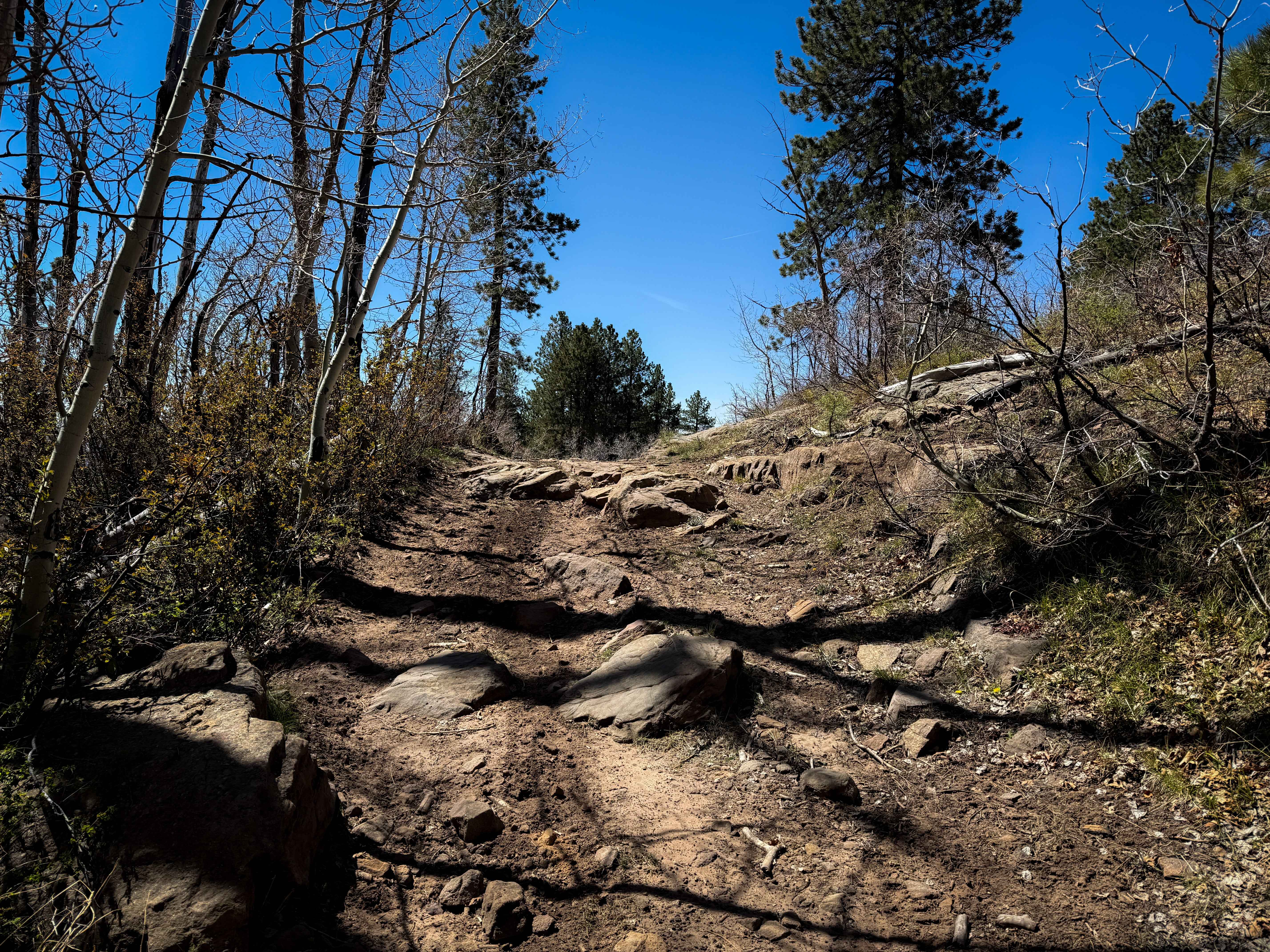Upper 2 Mile ATV Trail