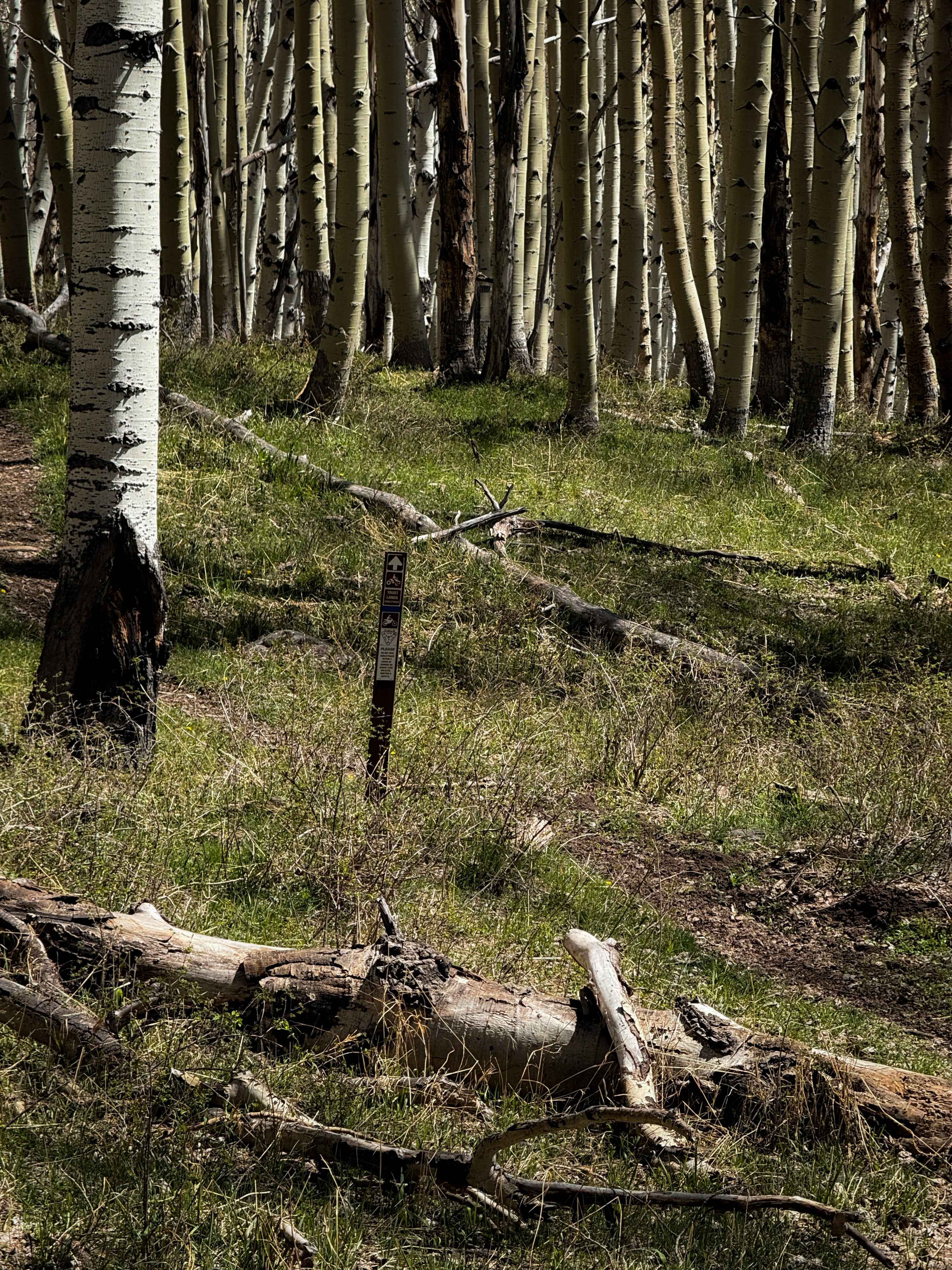 Trust Lands Singletrack