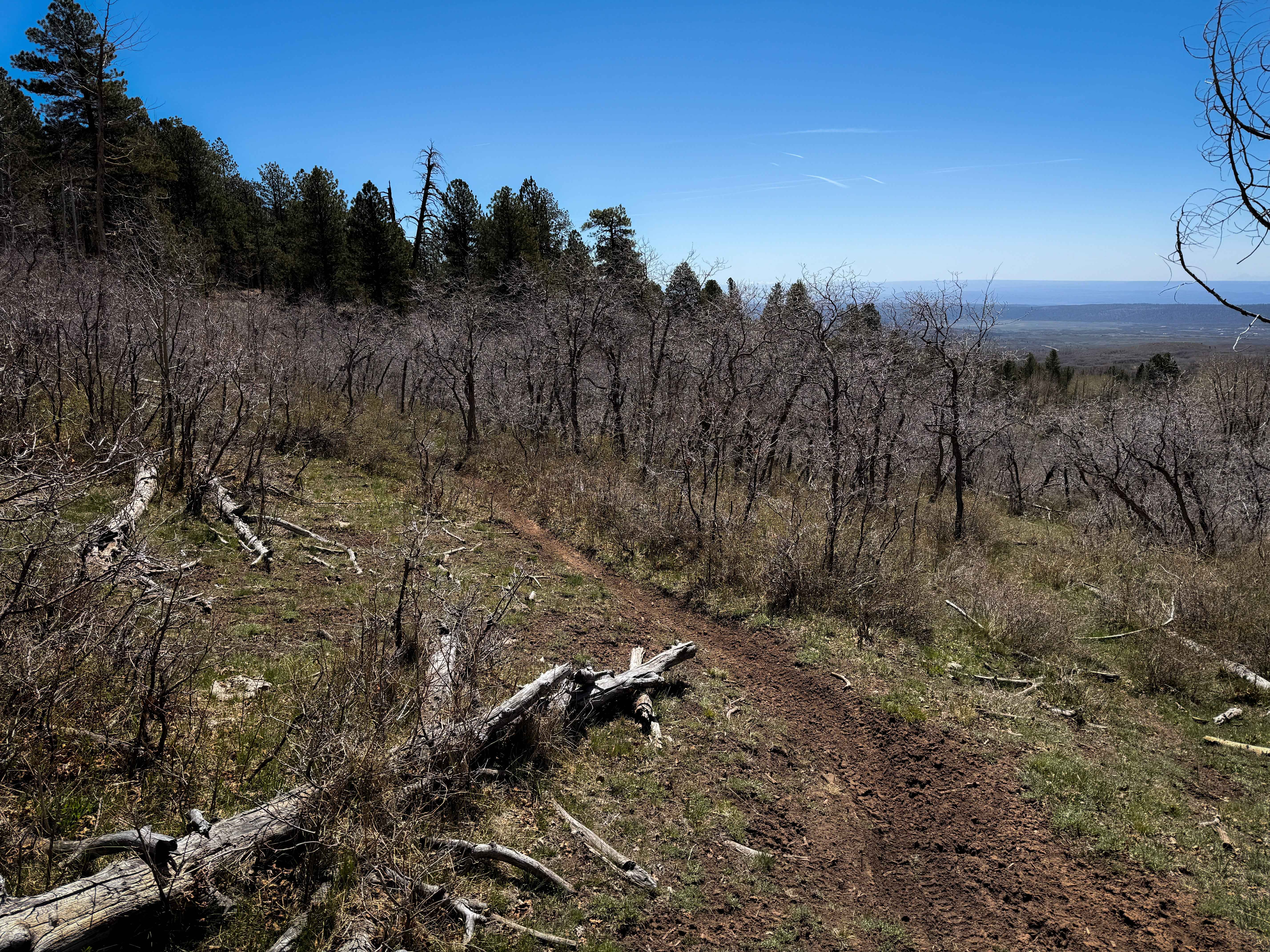 Trust Lands Singletrack