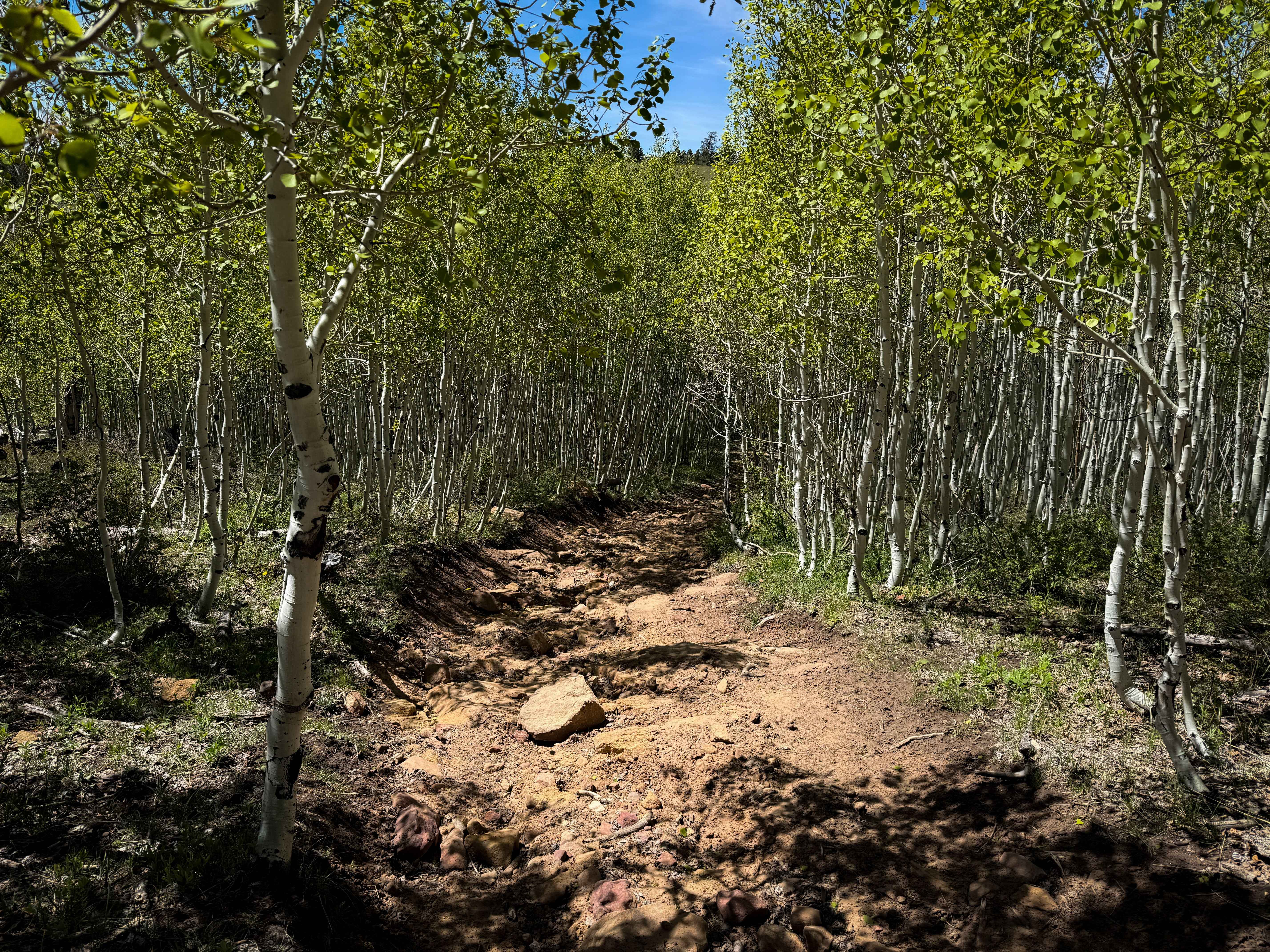 Upper 2 Mile Loop