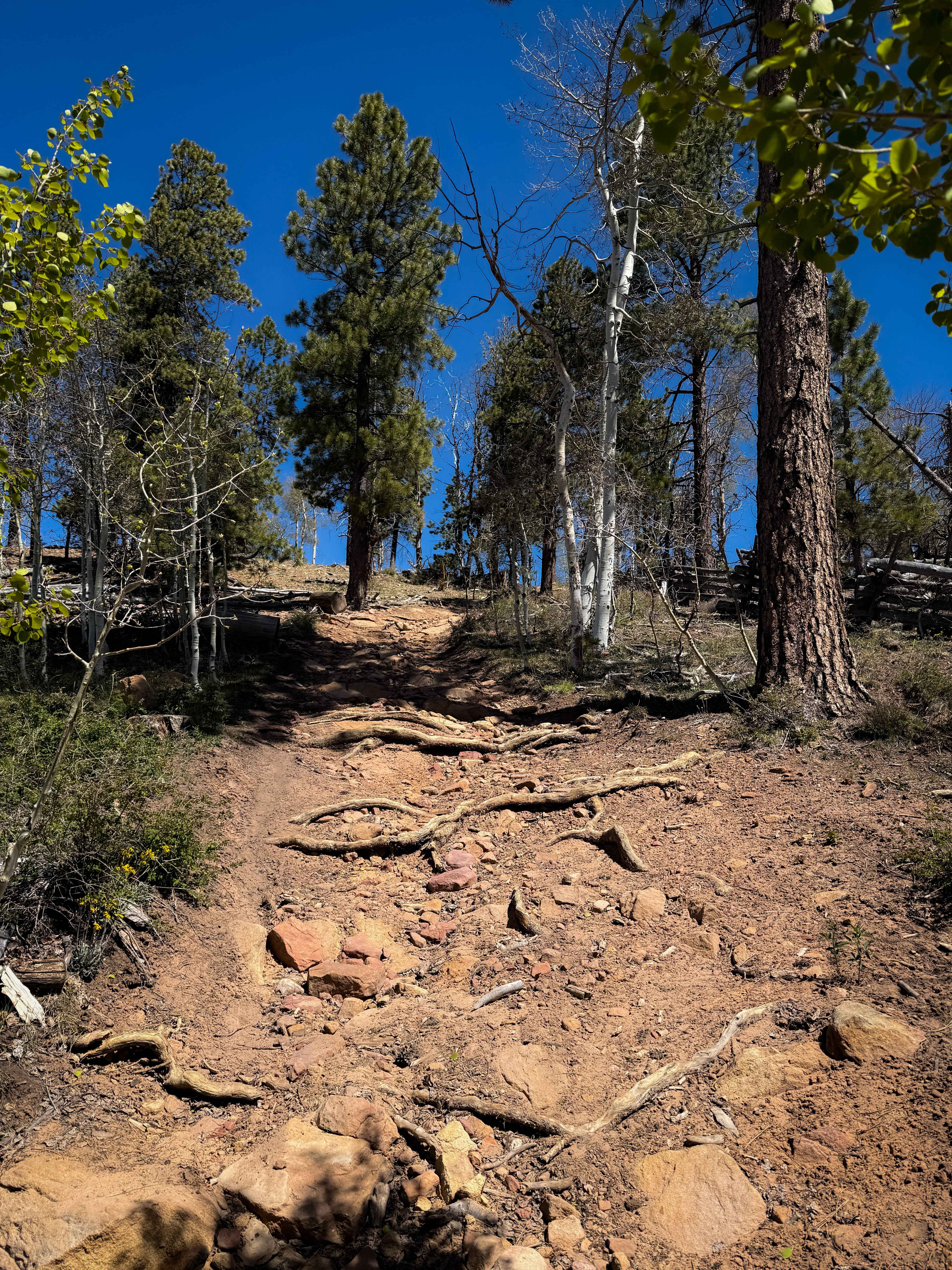 Upper 2 Mile Loop