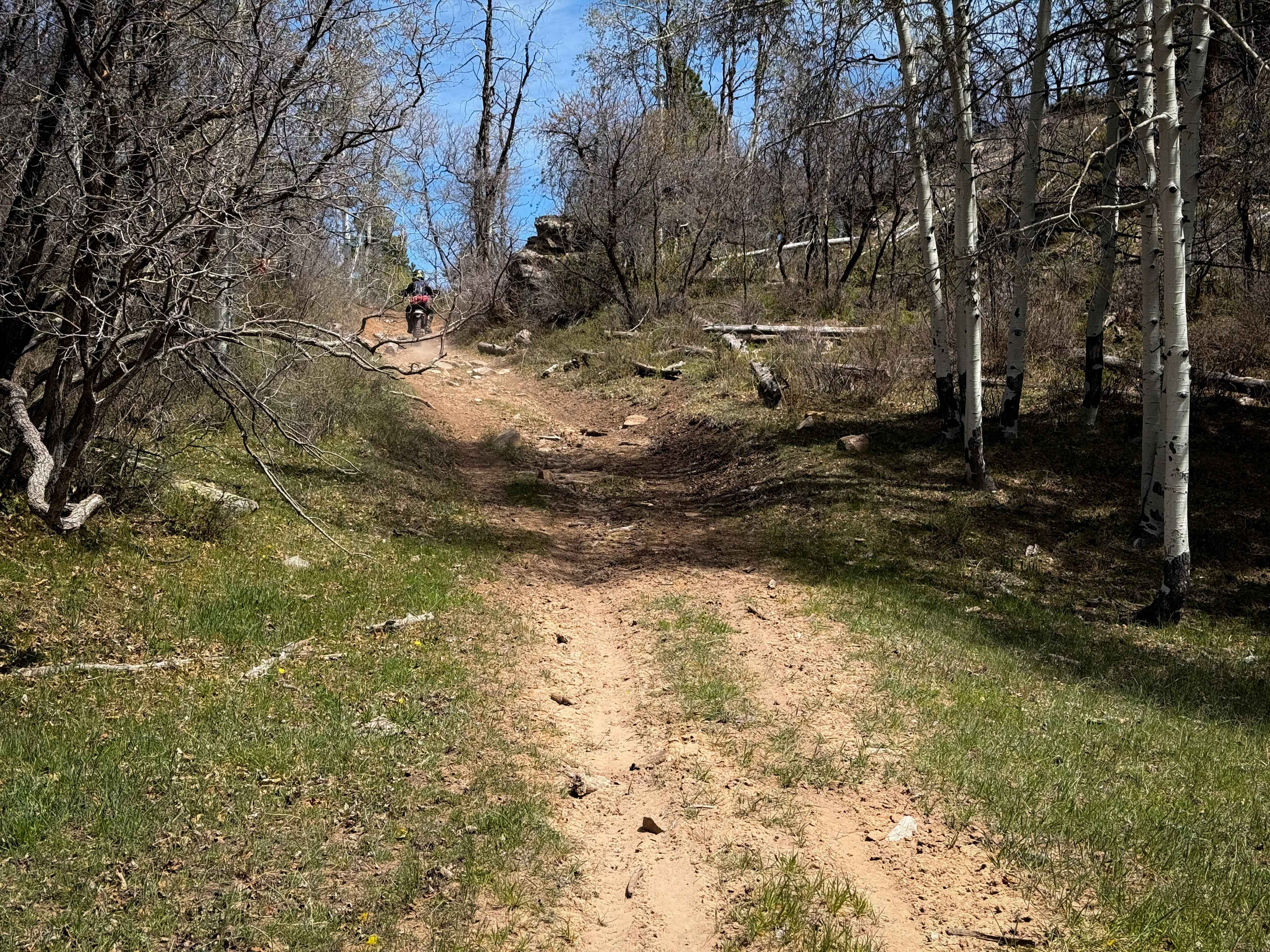 Upper 2 Mile Loop Connector