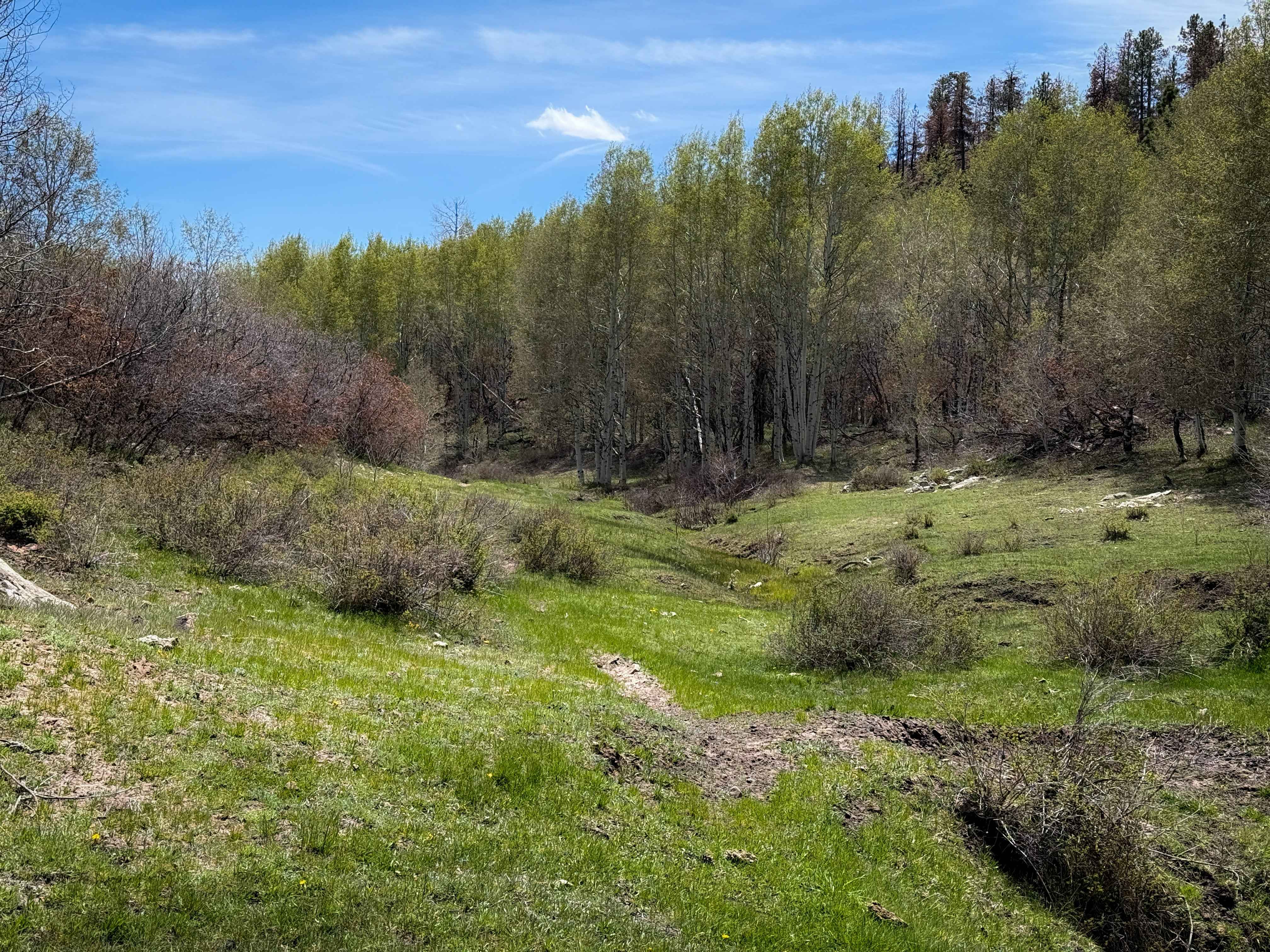 Trust Lands Singletrack (South)
