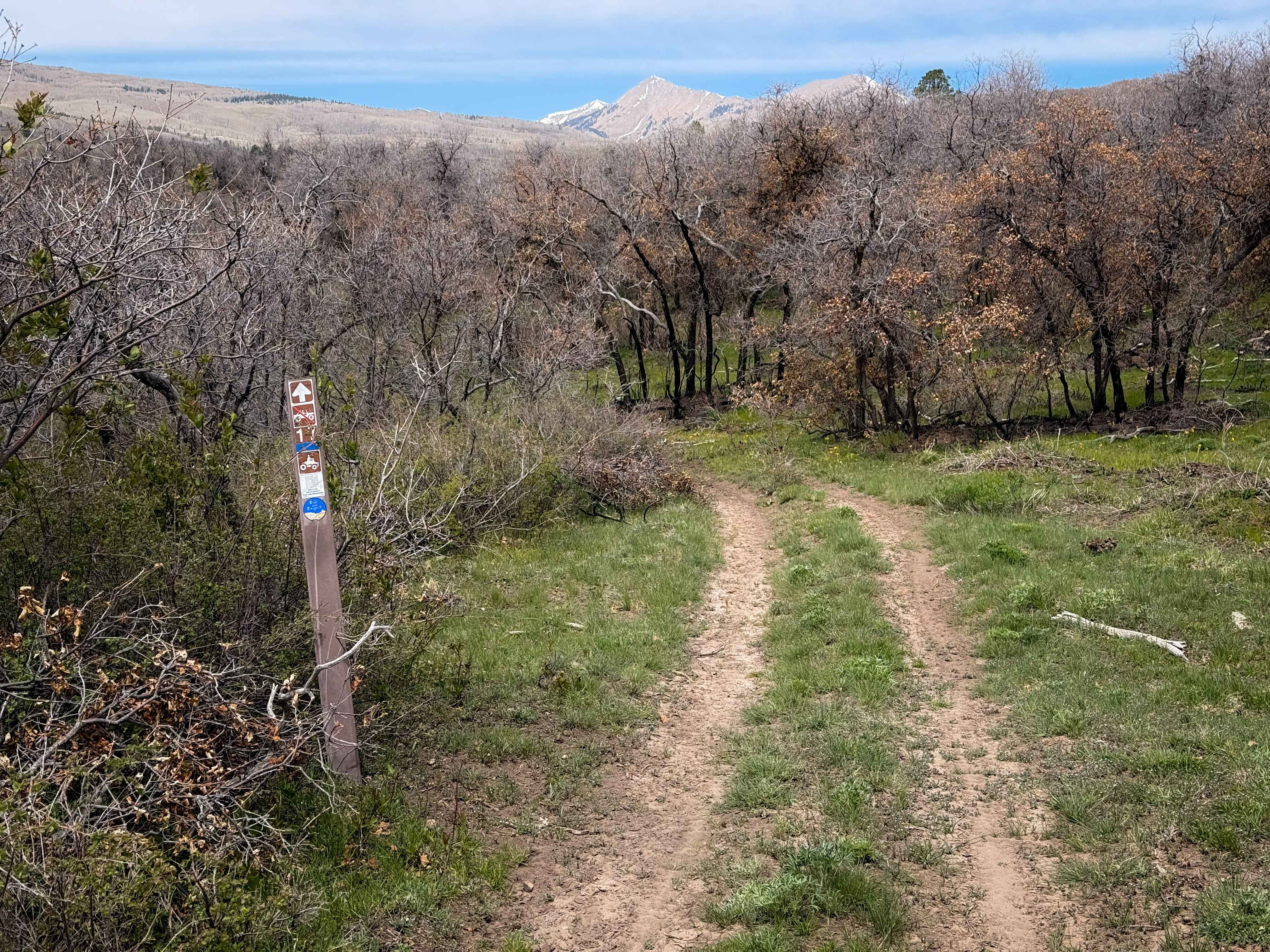 Lower 2 Mile Loop