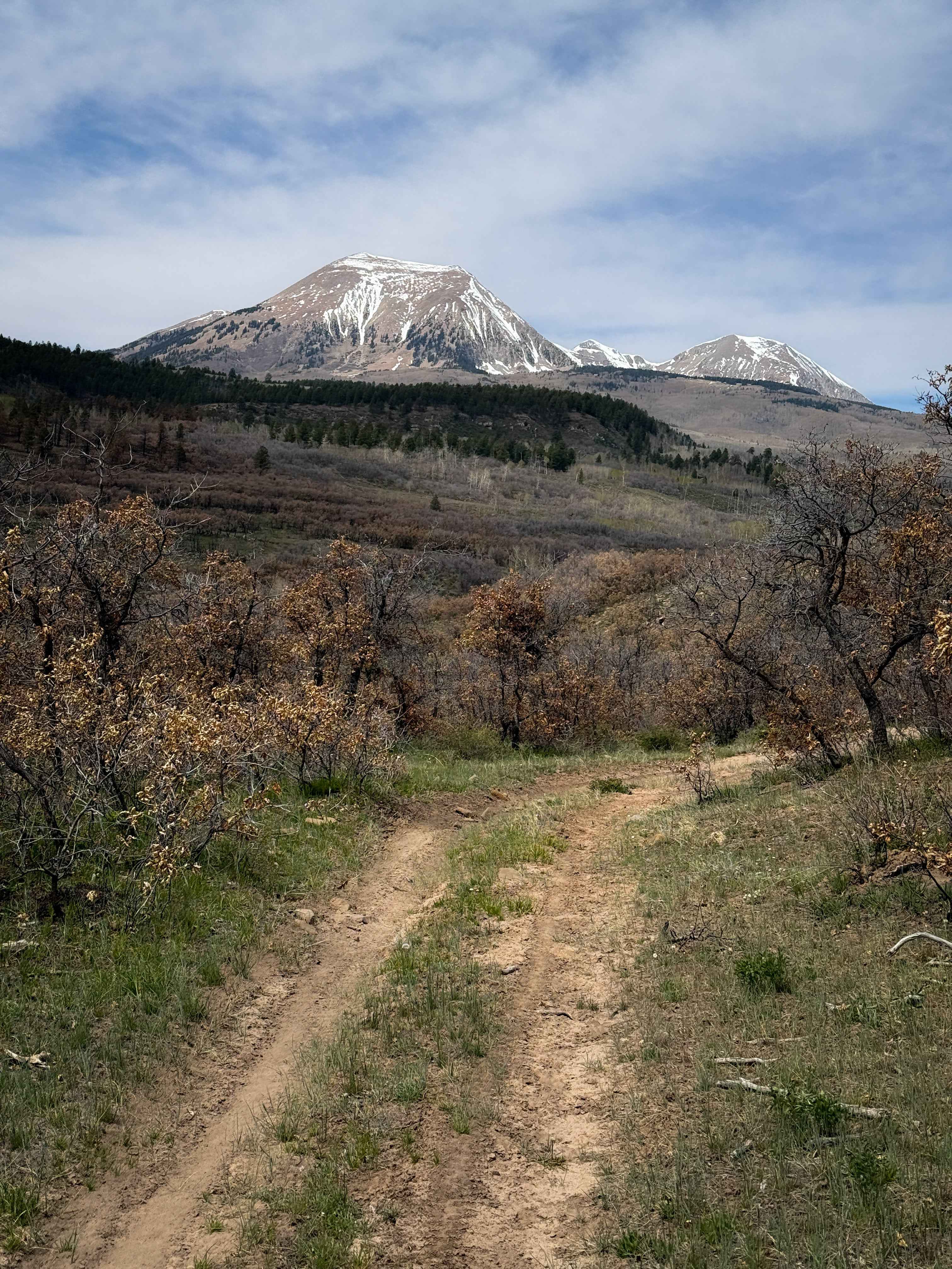 Lower 2 Mile Loop
