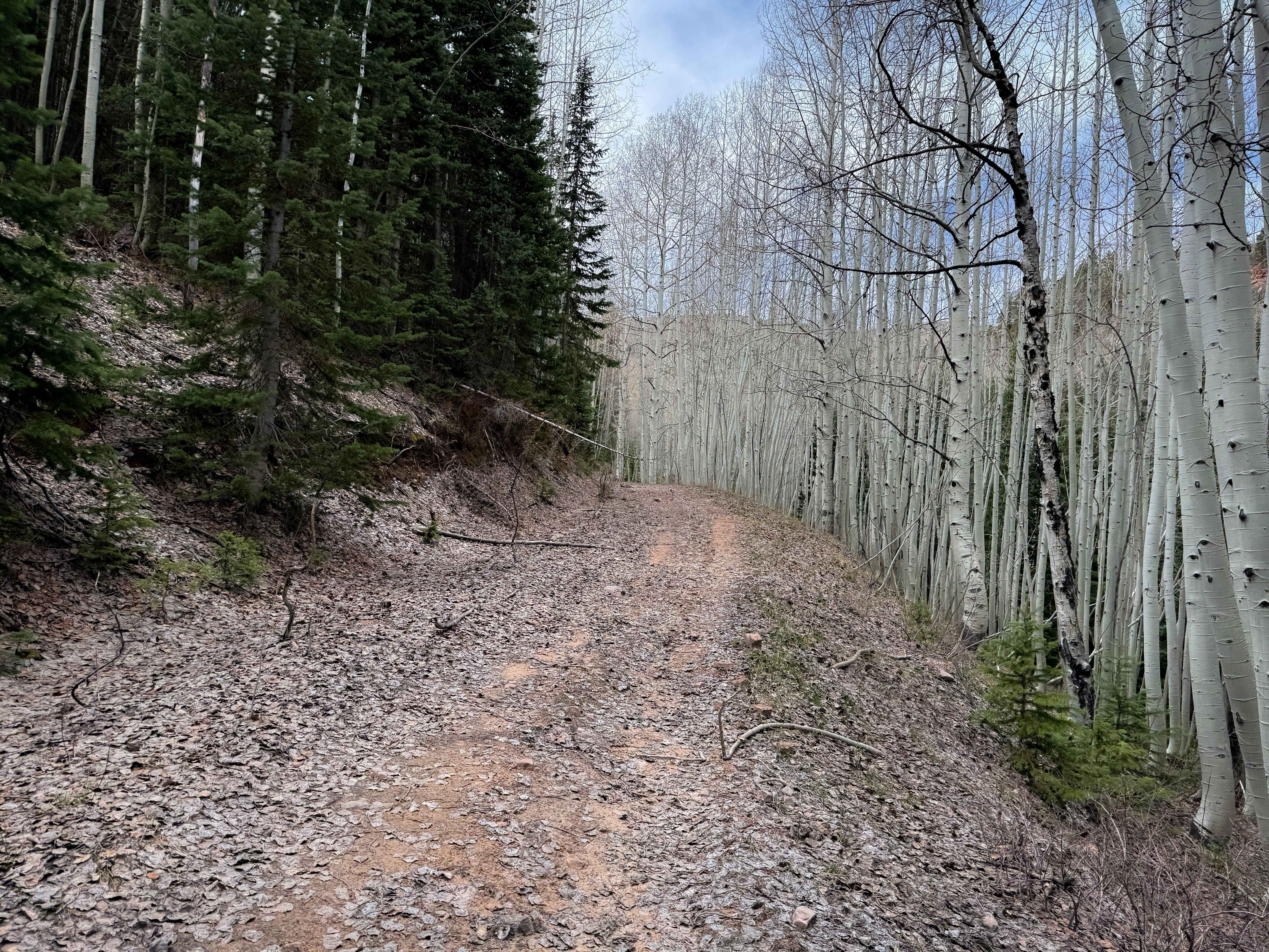 Trail 16