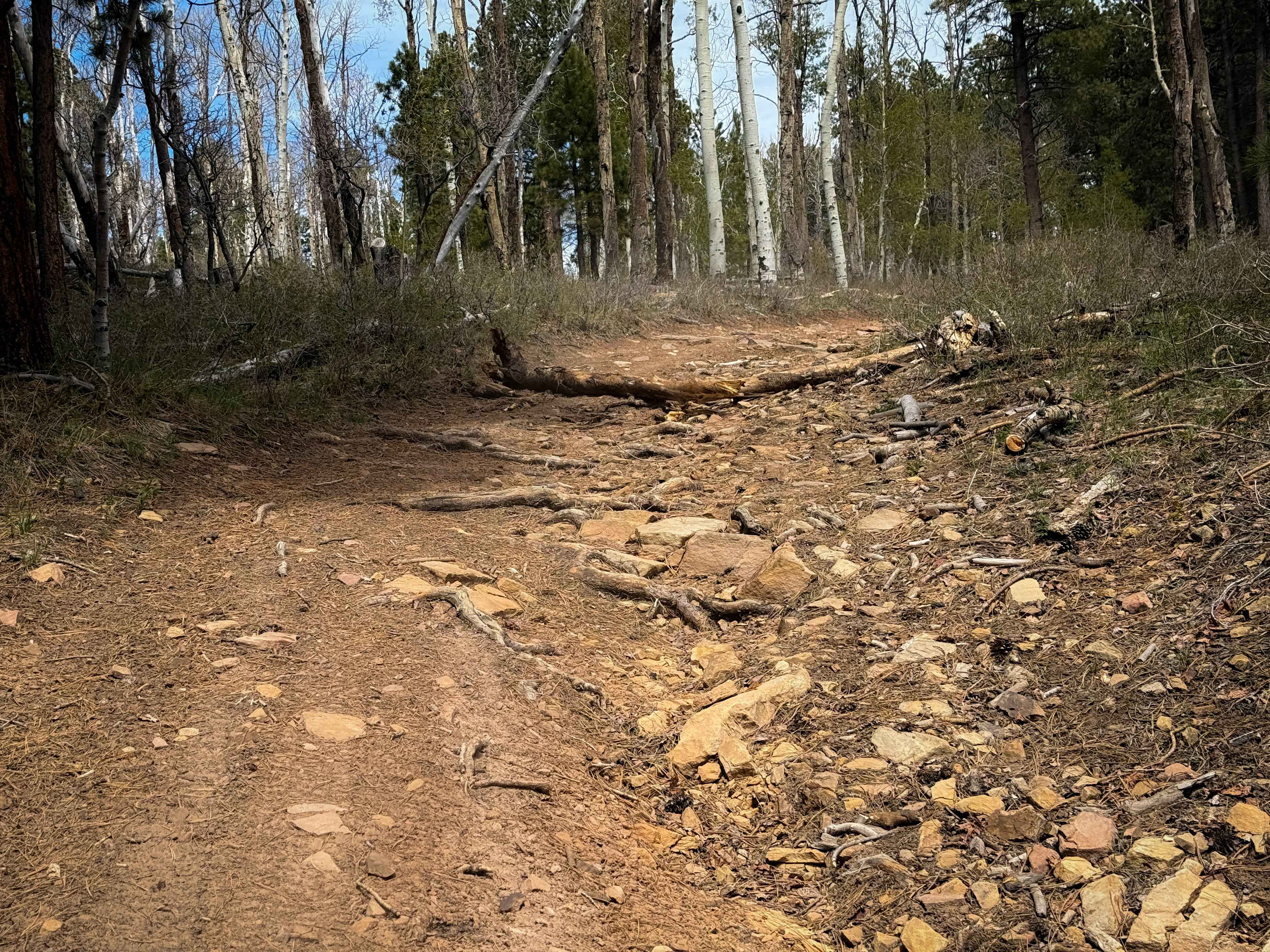 Trail 16 Loop