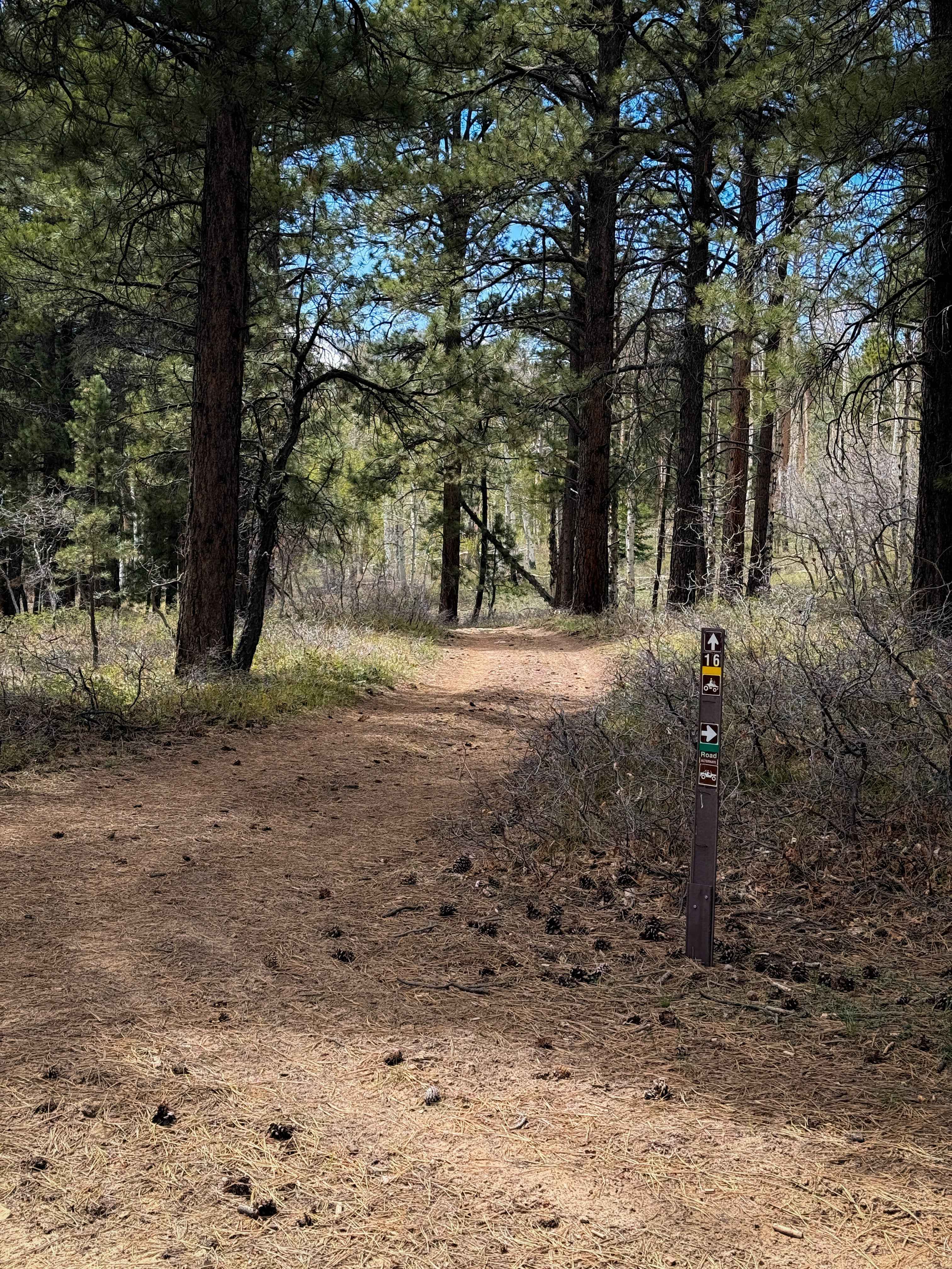 Trail 16 Loop
