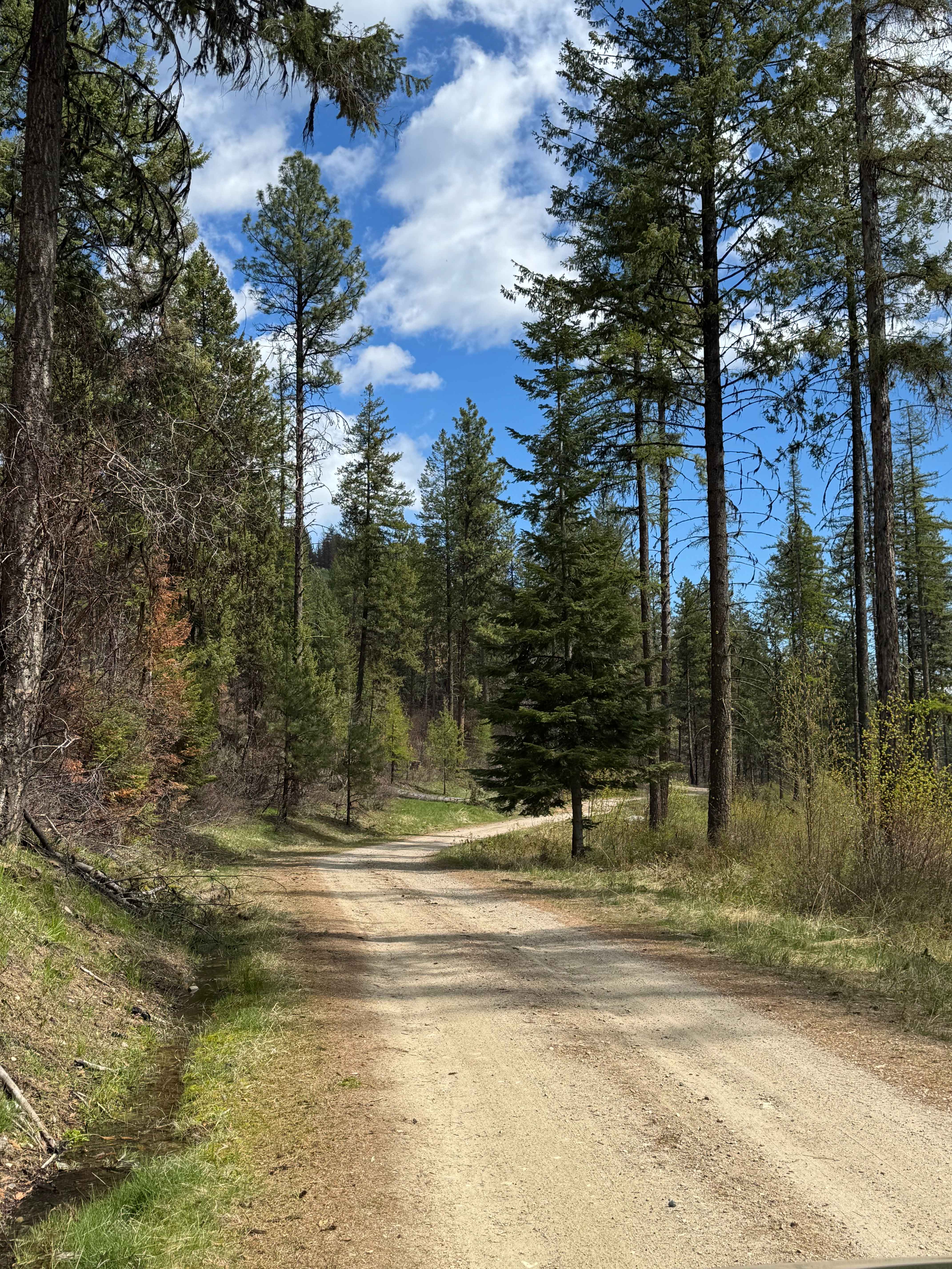 Nancy Creek Road