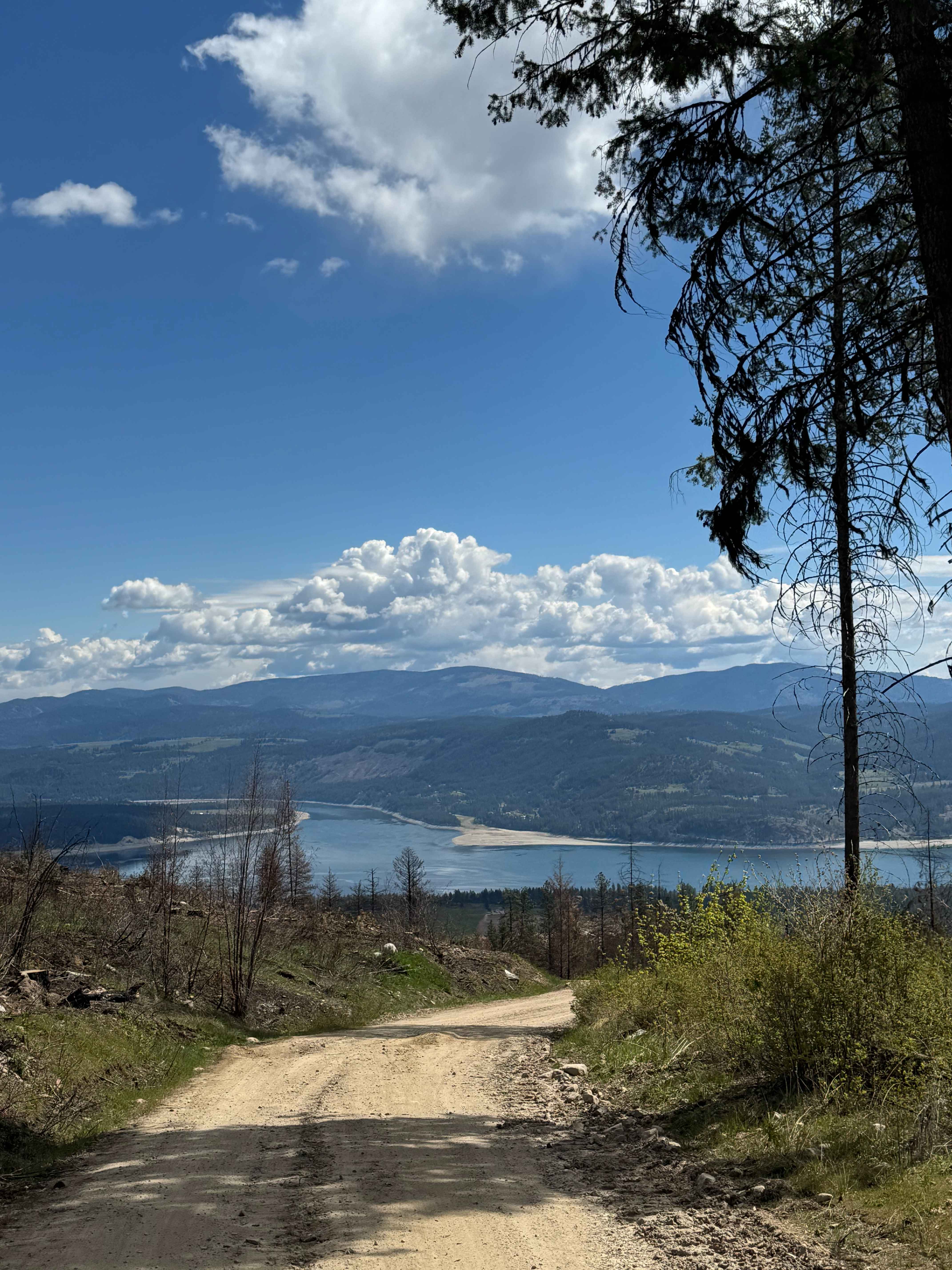 Nancy Creek Road