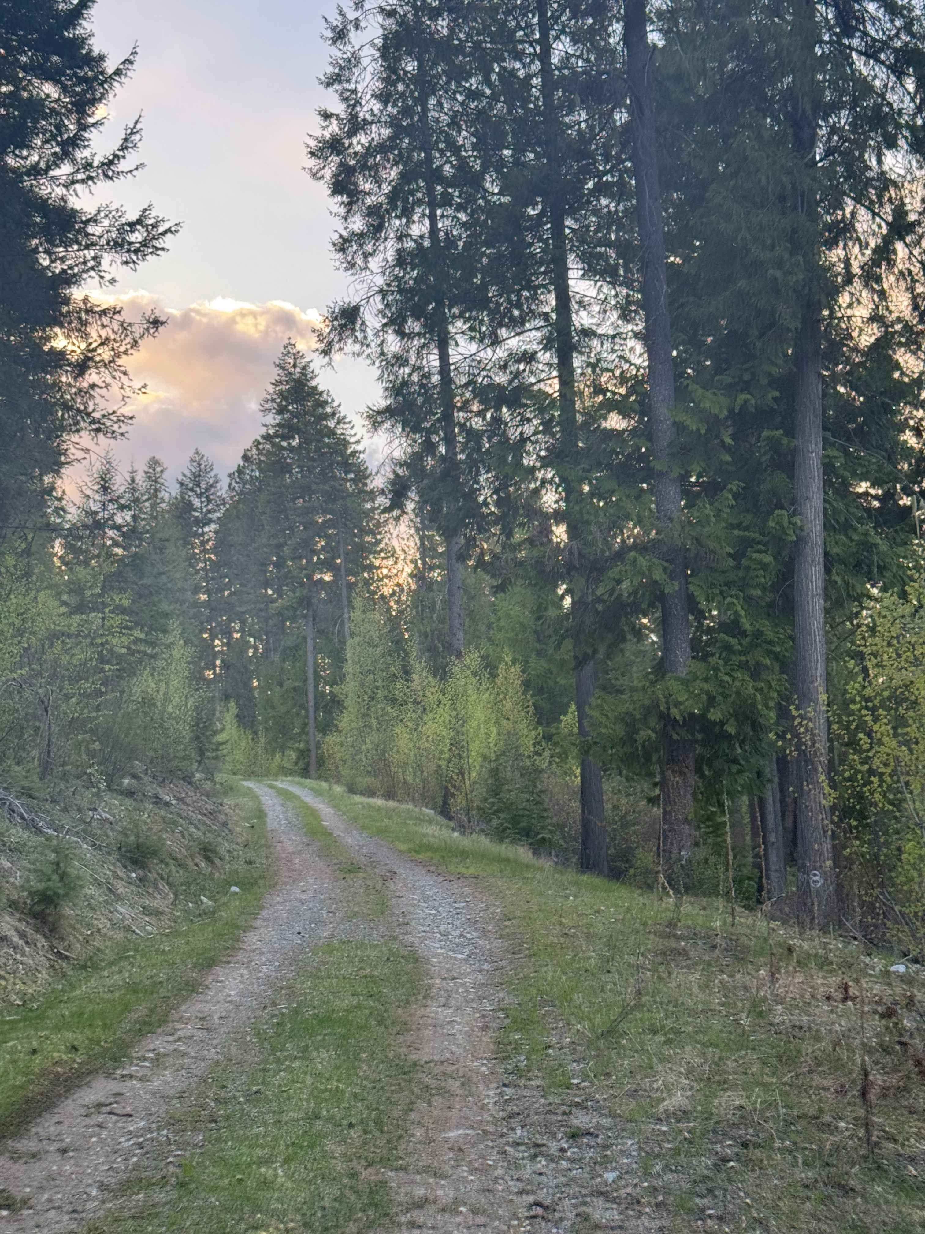 McKinley Mountain - FS 1500-045