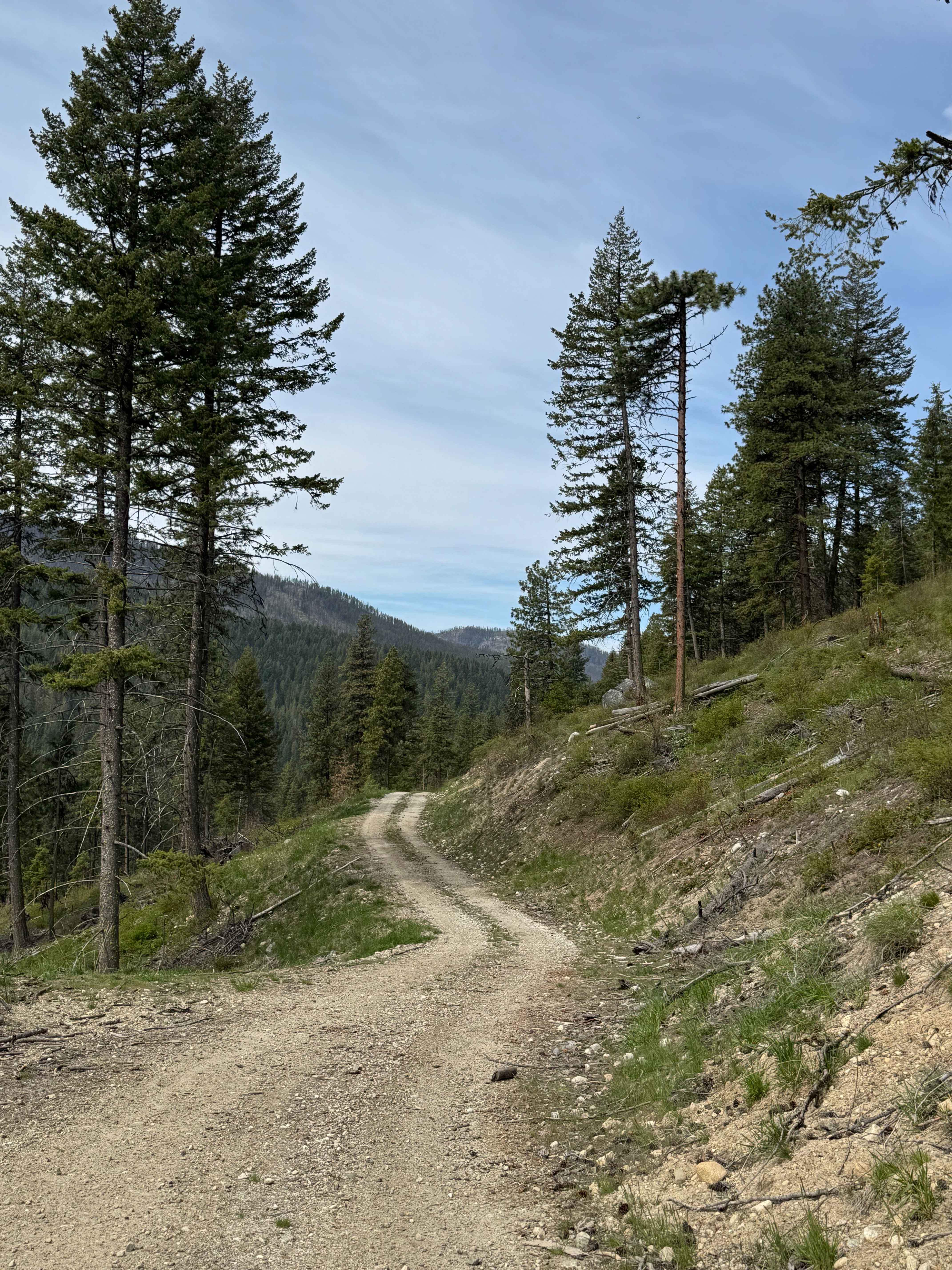 Tamarack Spring Trail