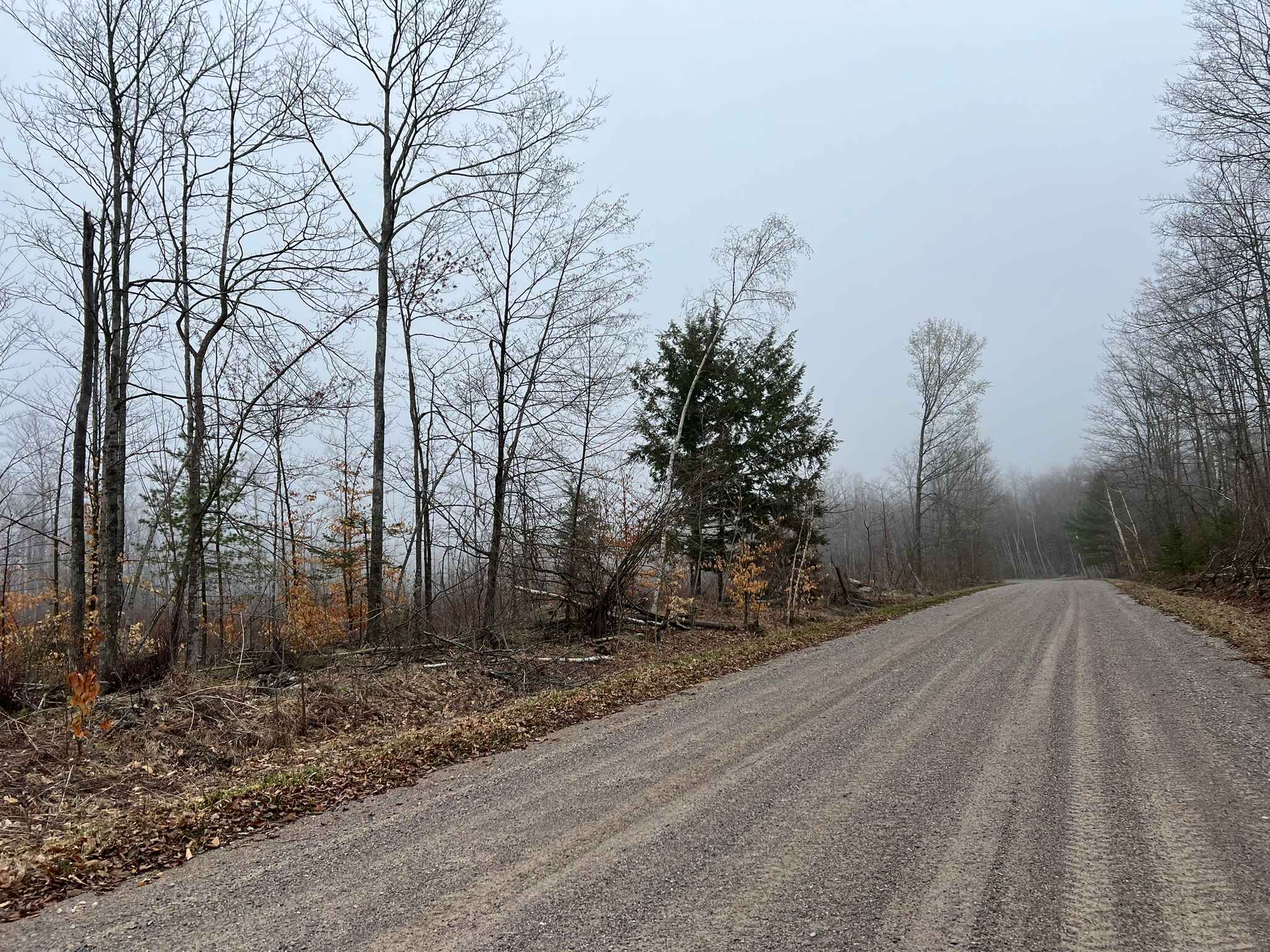 Sunrise Lake Road - FS 2319