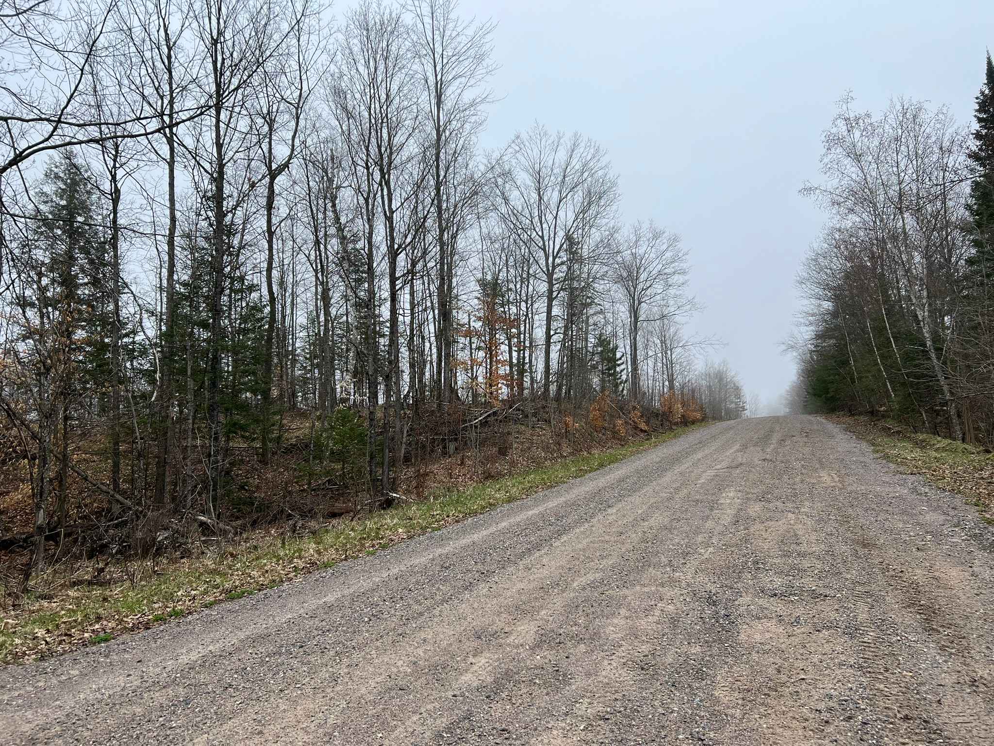 Sunrise Lake Road - FS 2319