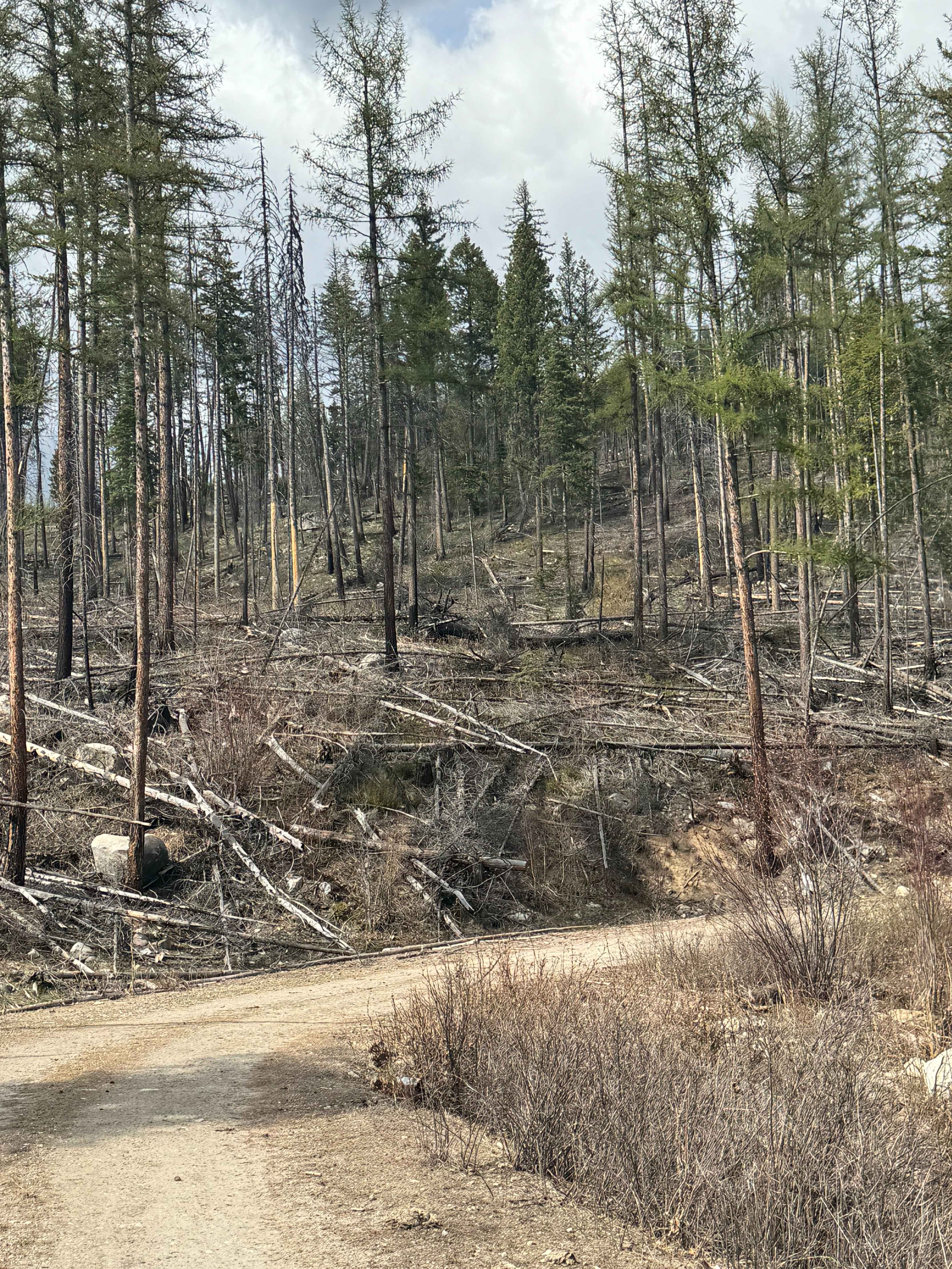 Dry Creek - FS 6100-350