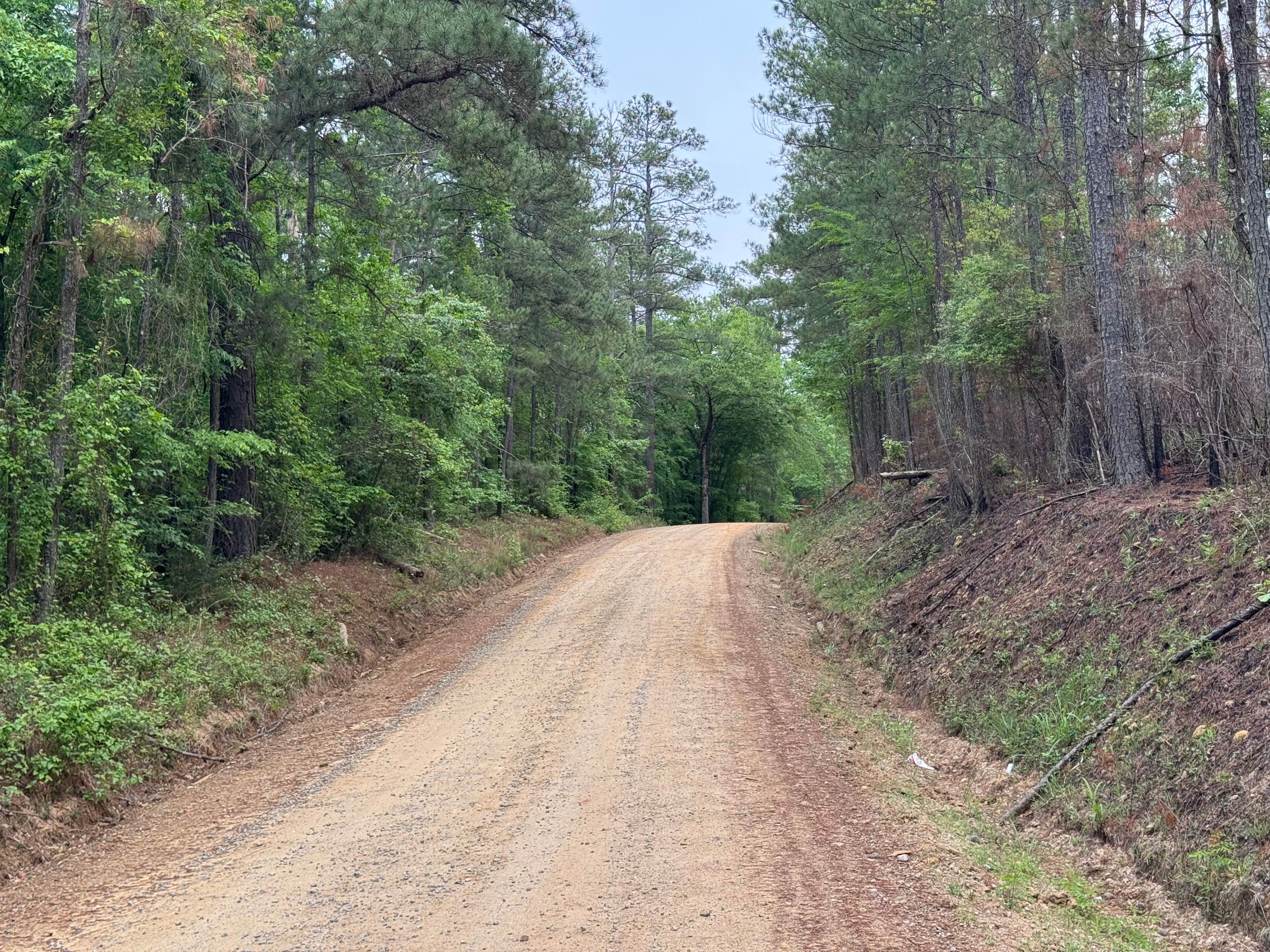 Five Points Road