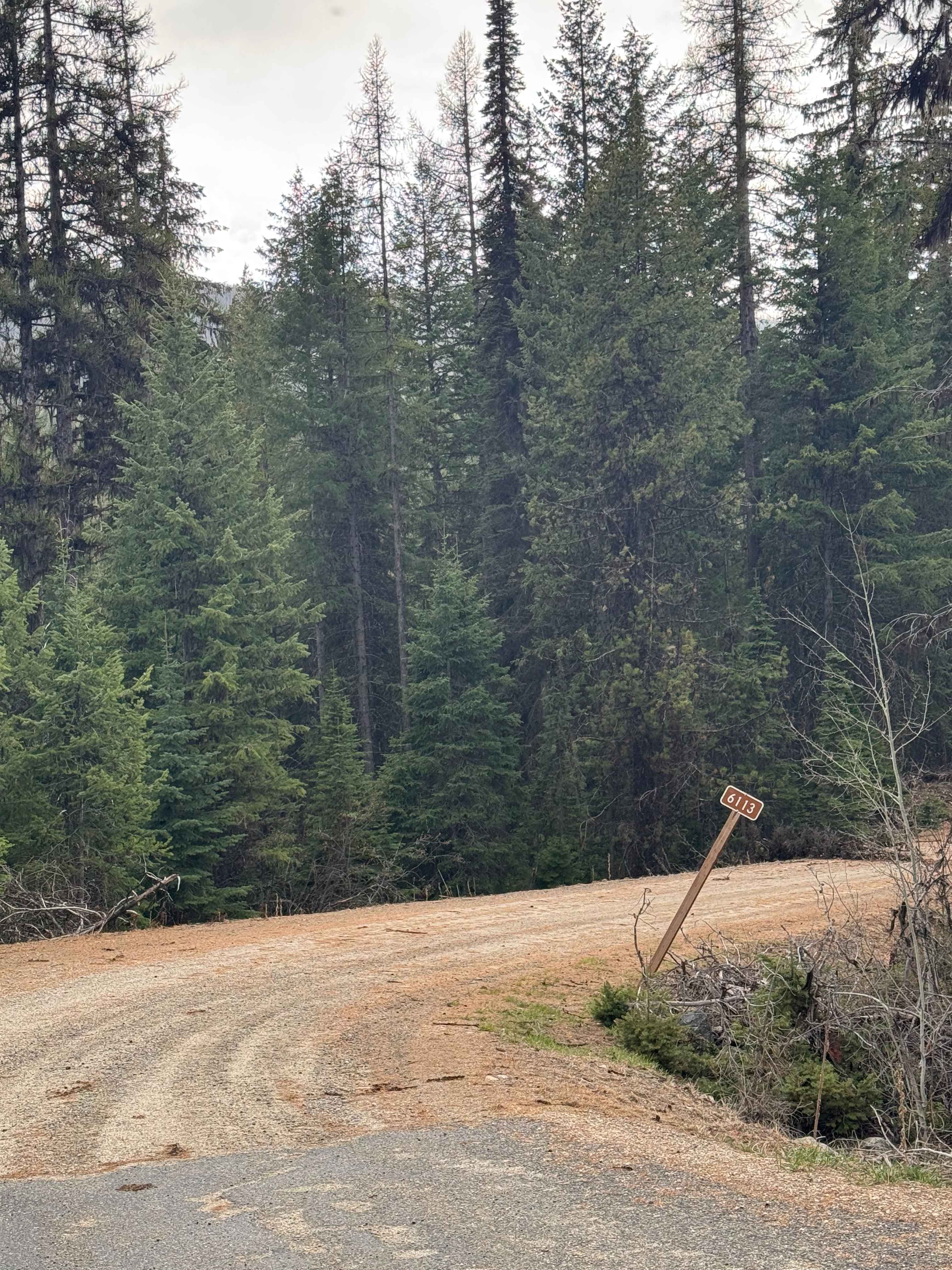 Taylor Ridge Trail