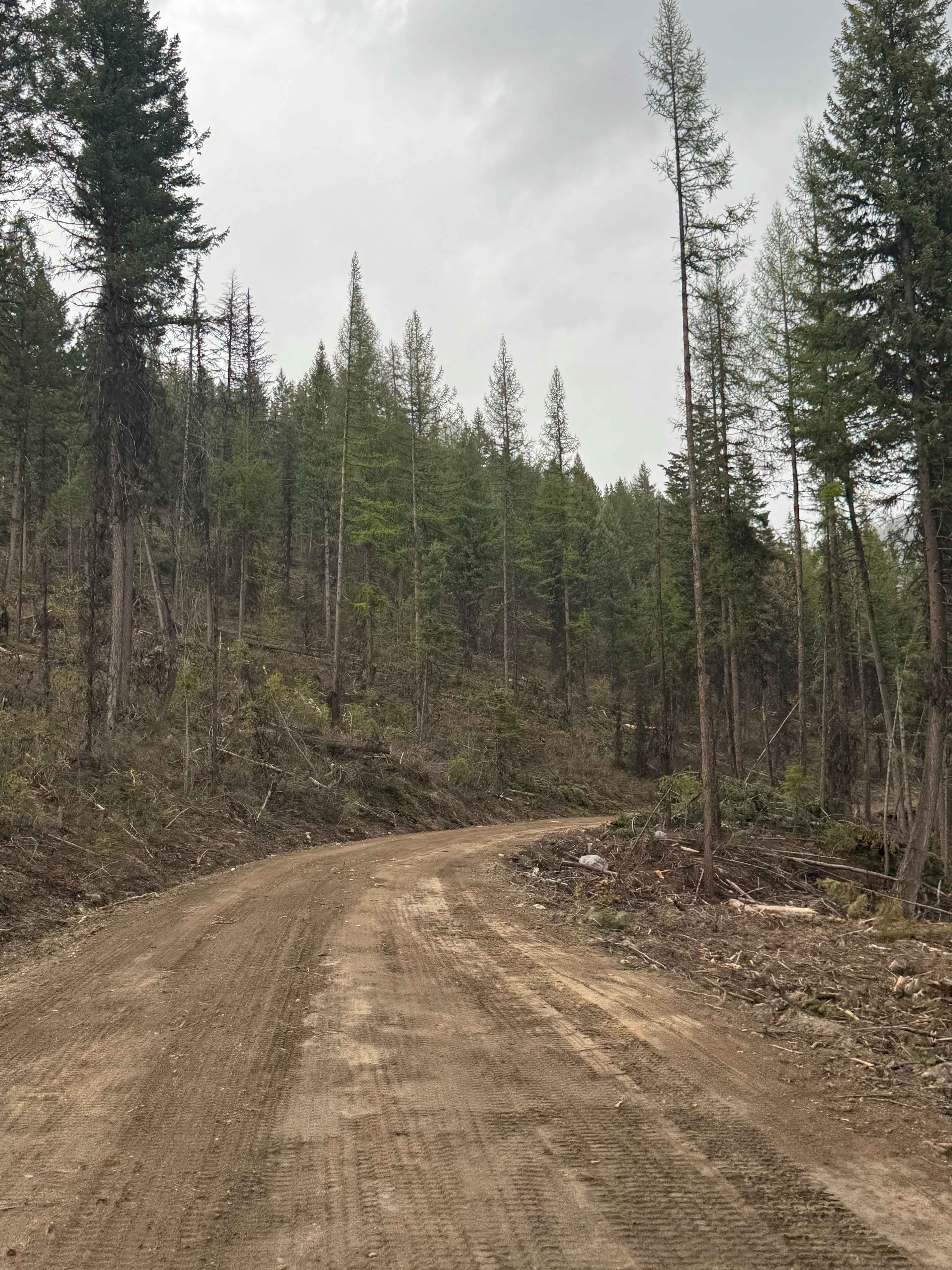 Echo Creek - FS 6113-325