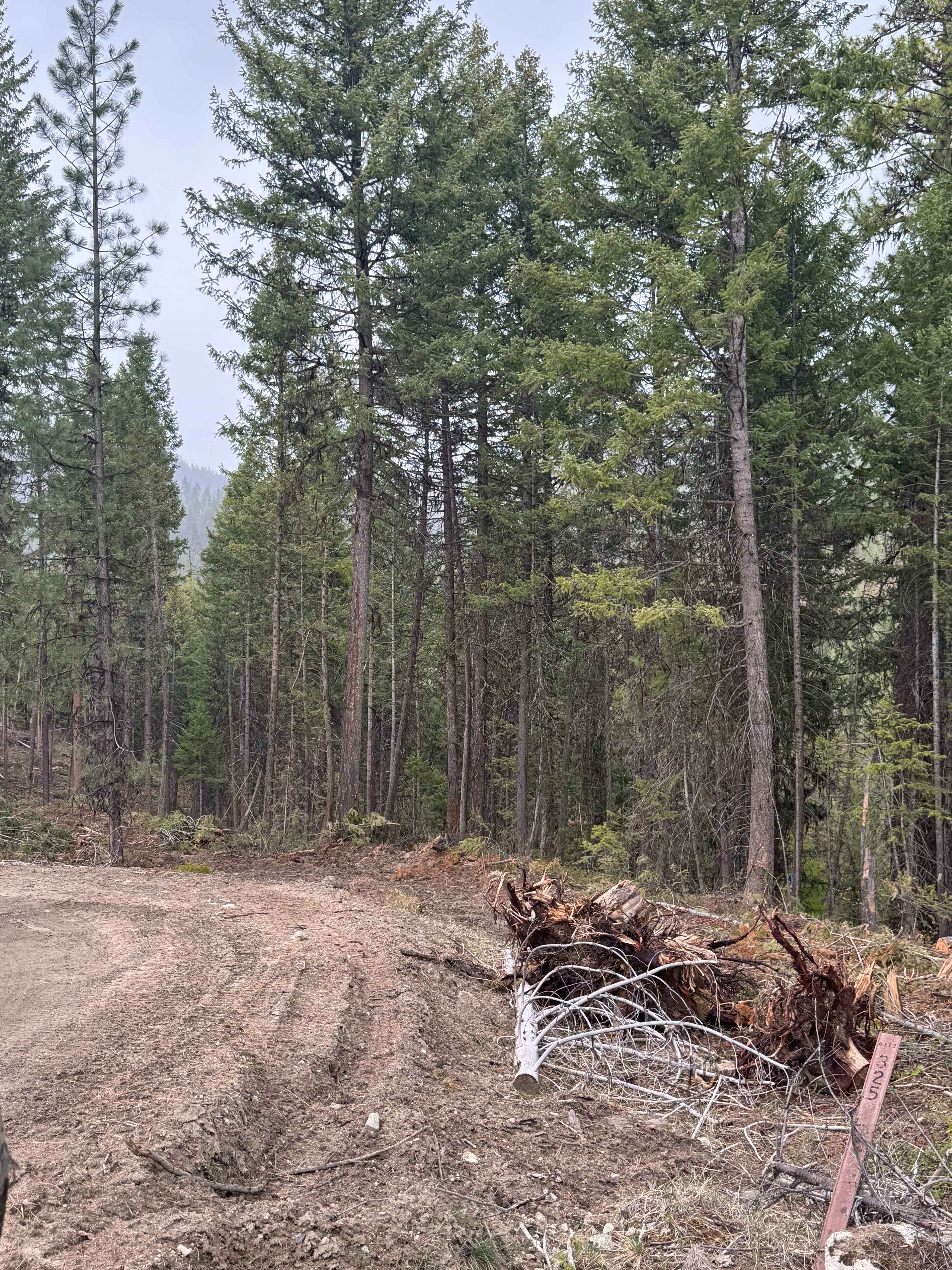 Echo Creek - FS 6113-325