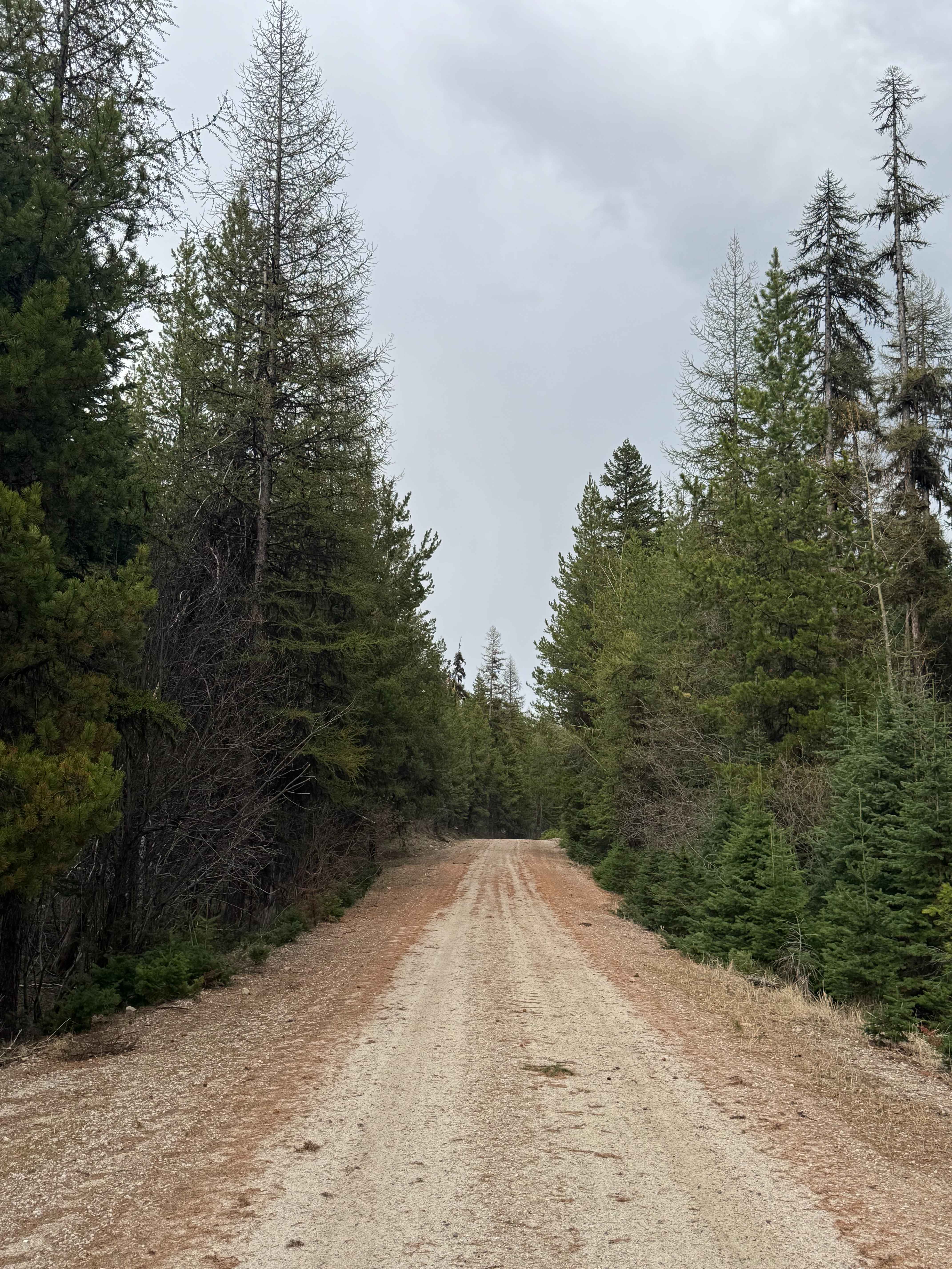 South Boulder - FS 6110