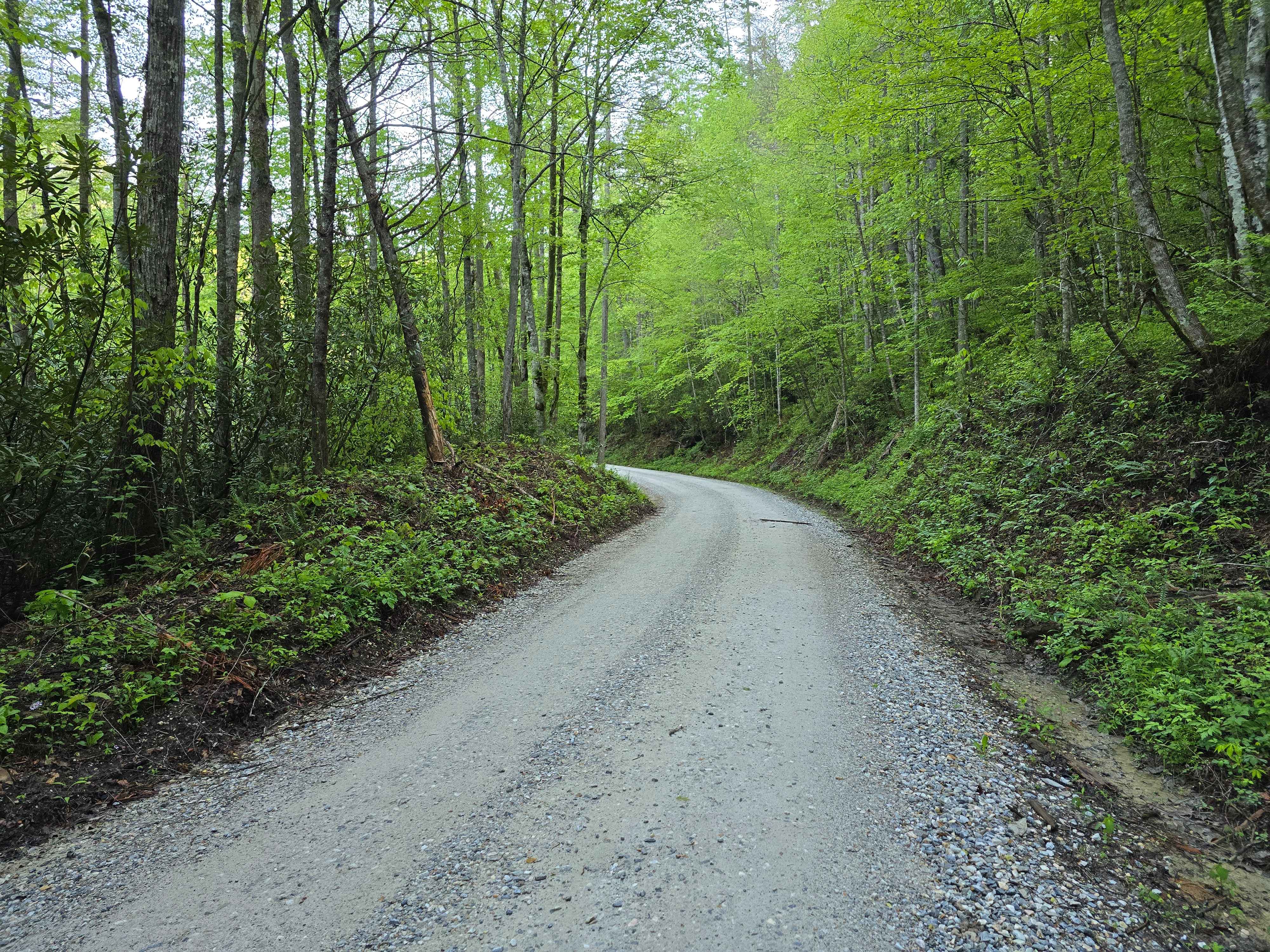 Snowbird Road