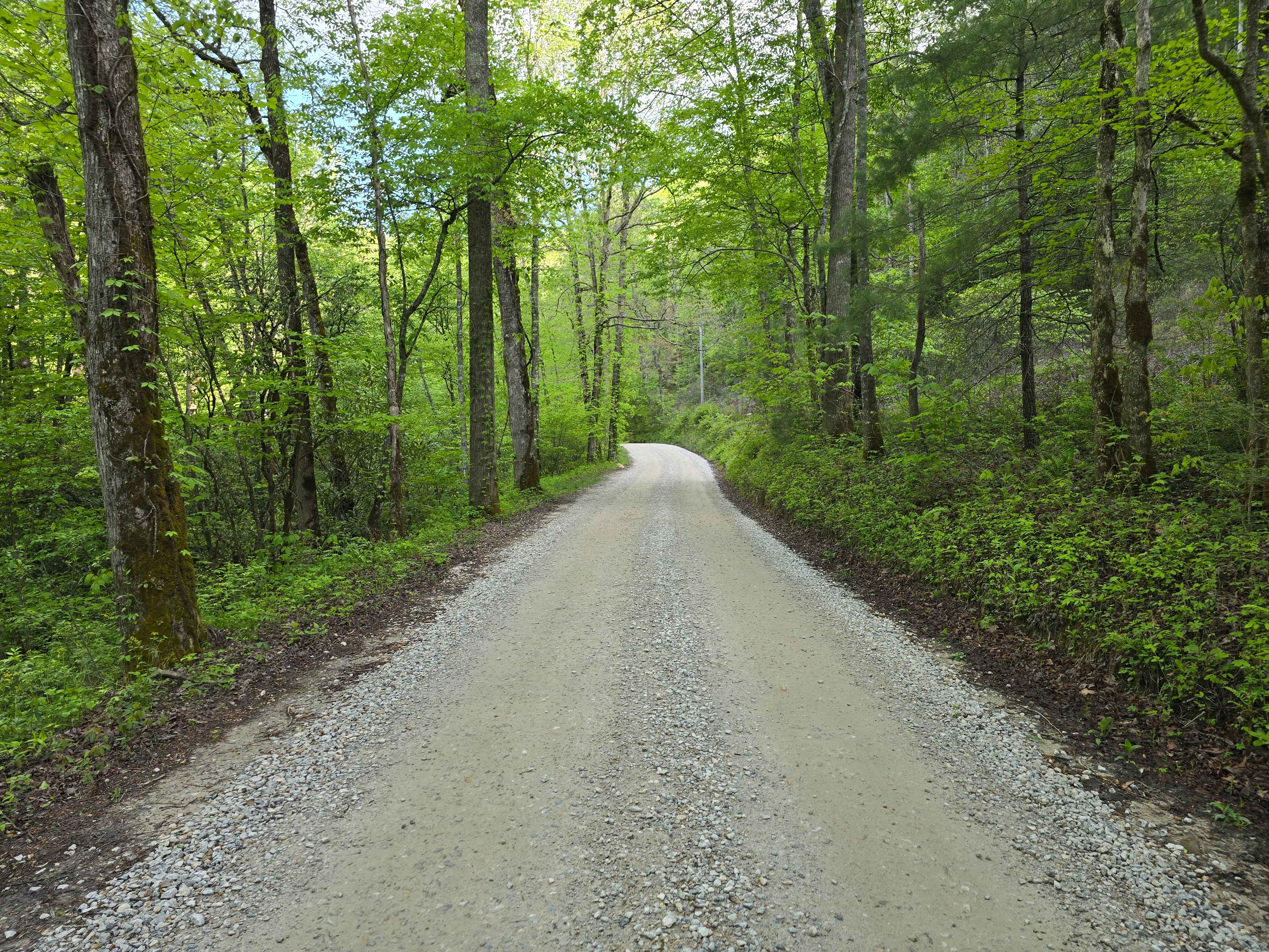 Little Snowbird Road