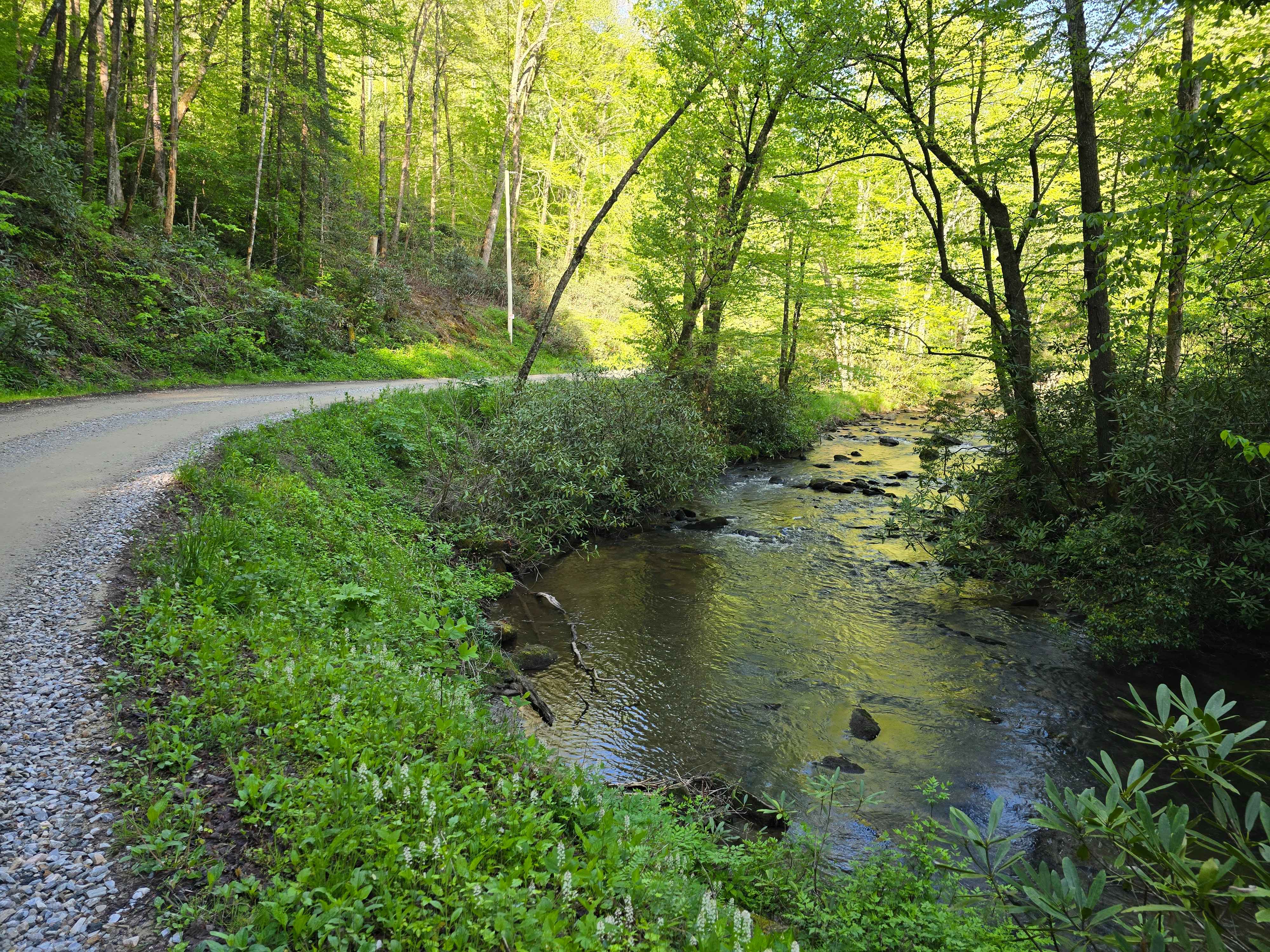 Little Snowbird Road