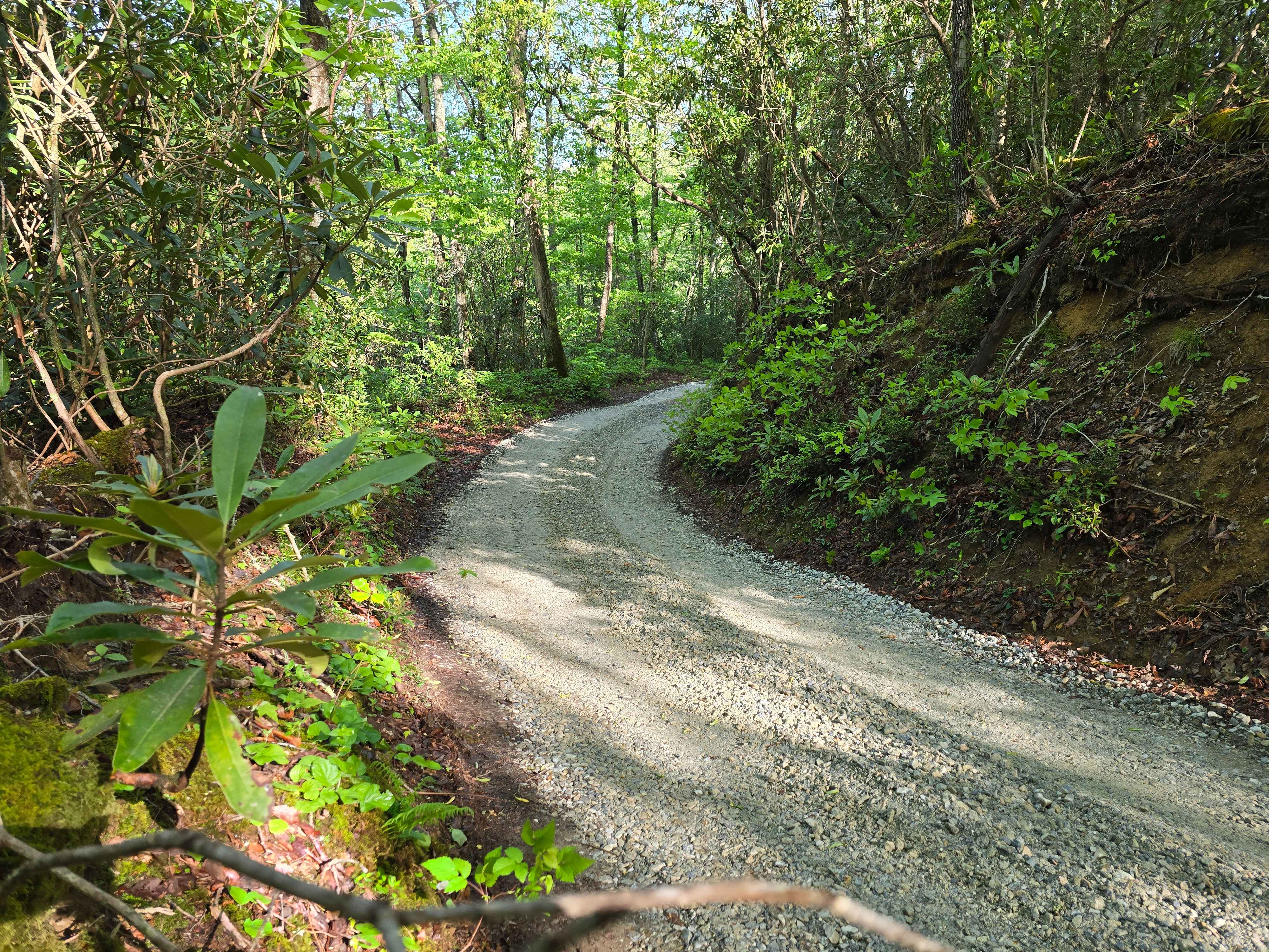 Porterfield Gap Road